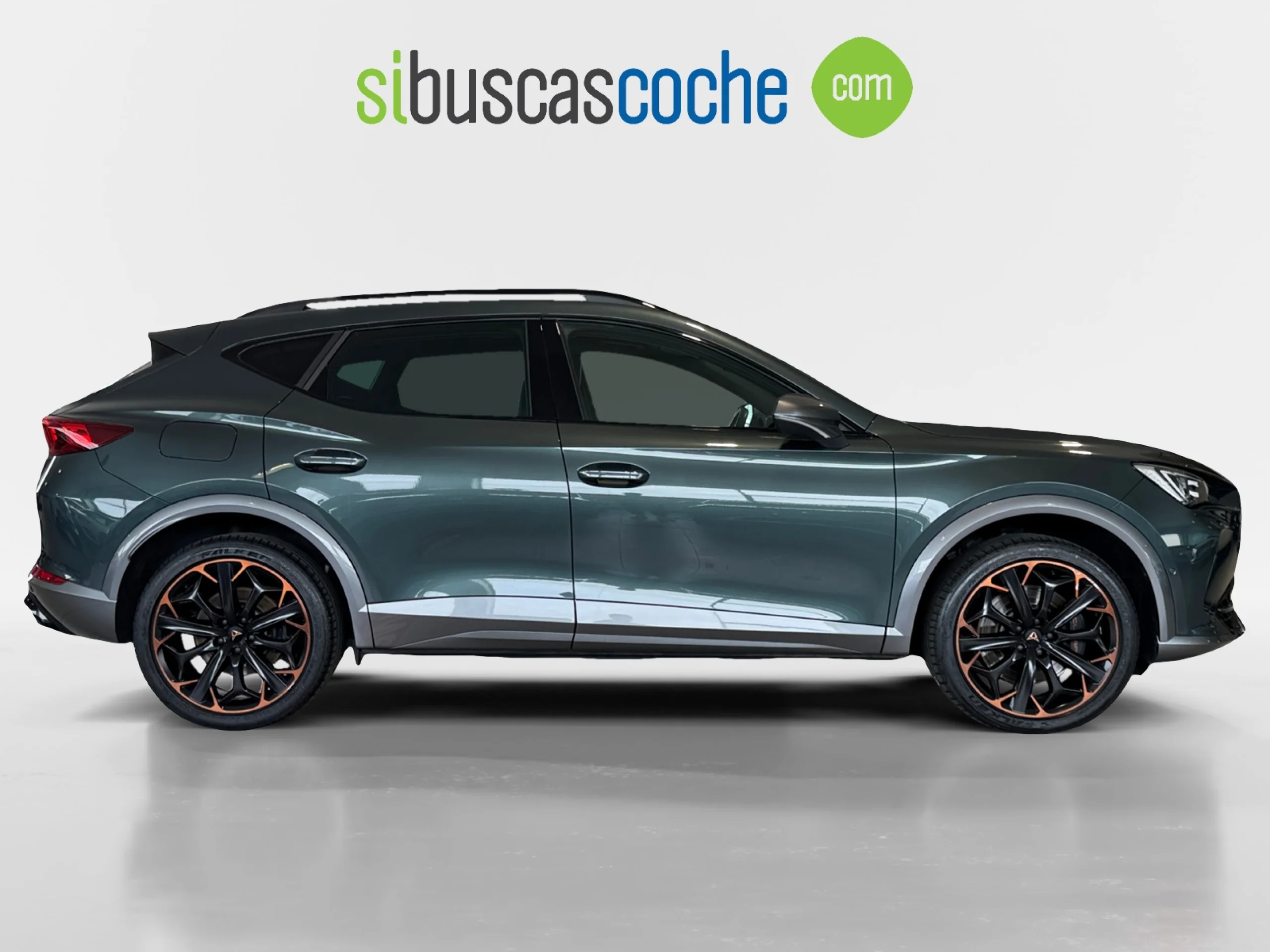 CUPRA FORMENTOR 2.0 TSI 228KW (310 CV) VZ 4DRIVE DSG - Foto 3