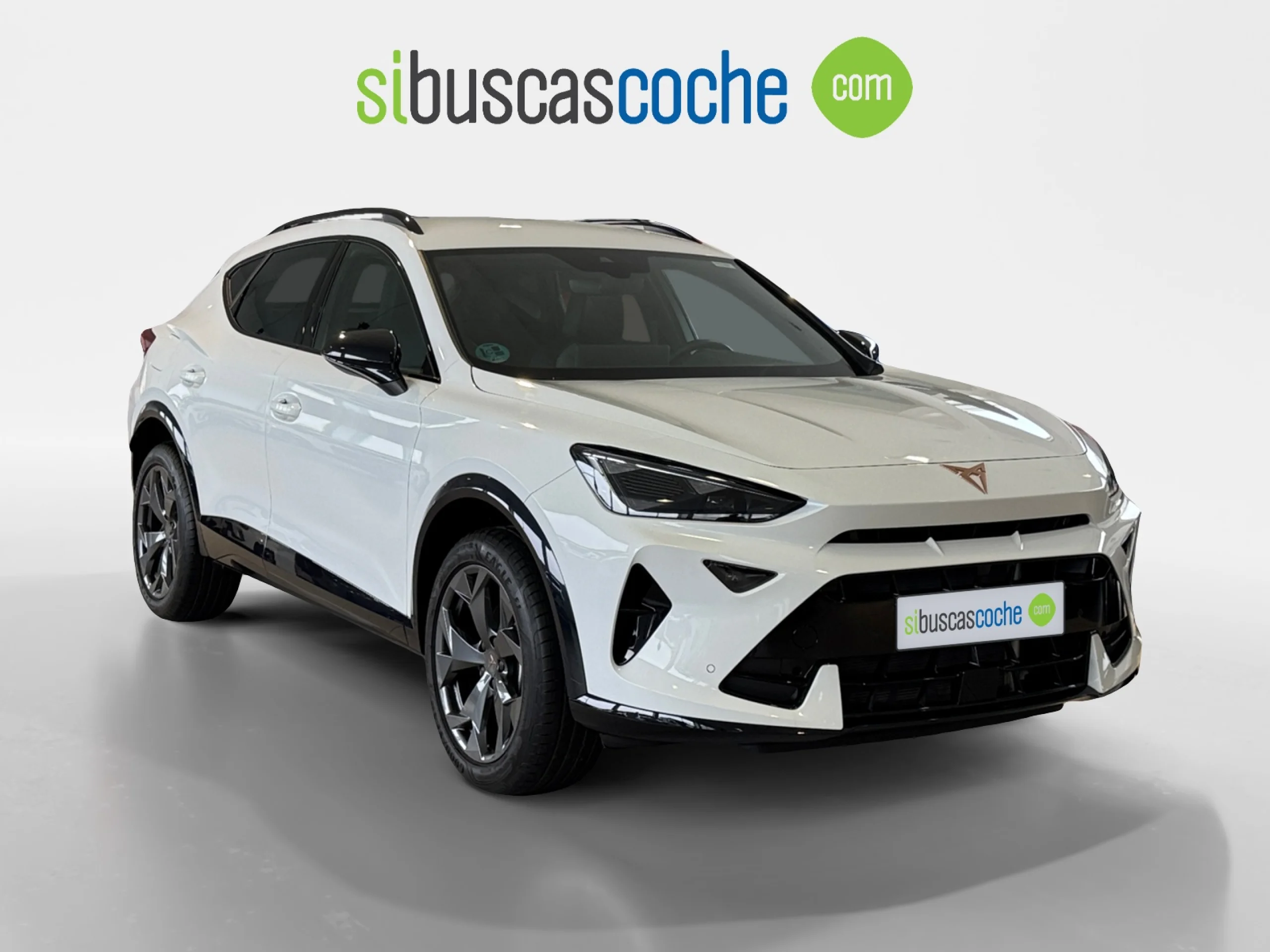 CUPRA FORMENTOR 2.0 TDI 110KW (150 CV) DSG - Foto 1