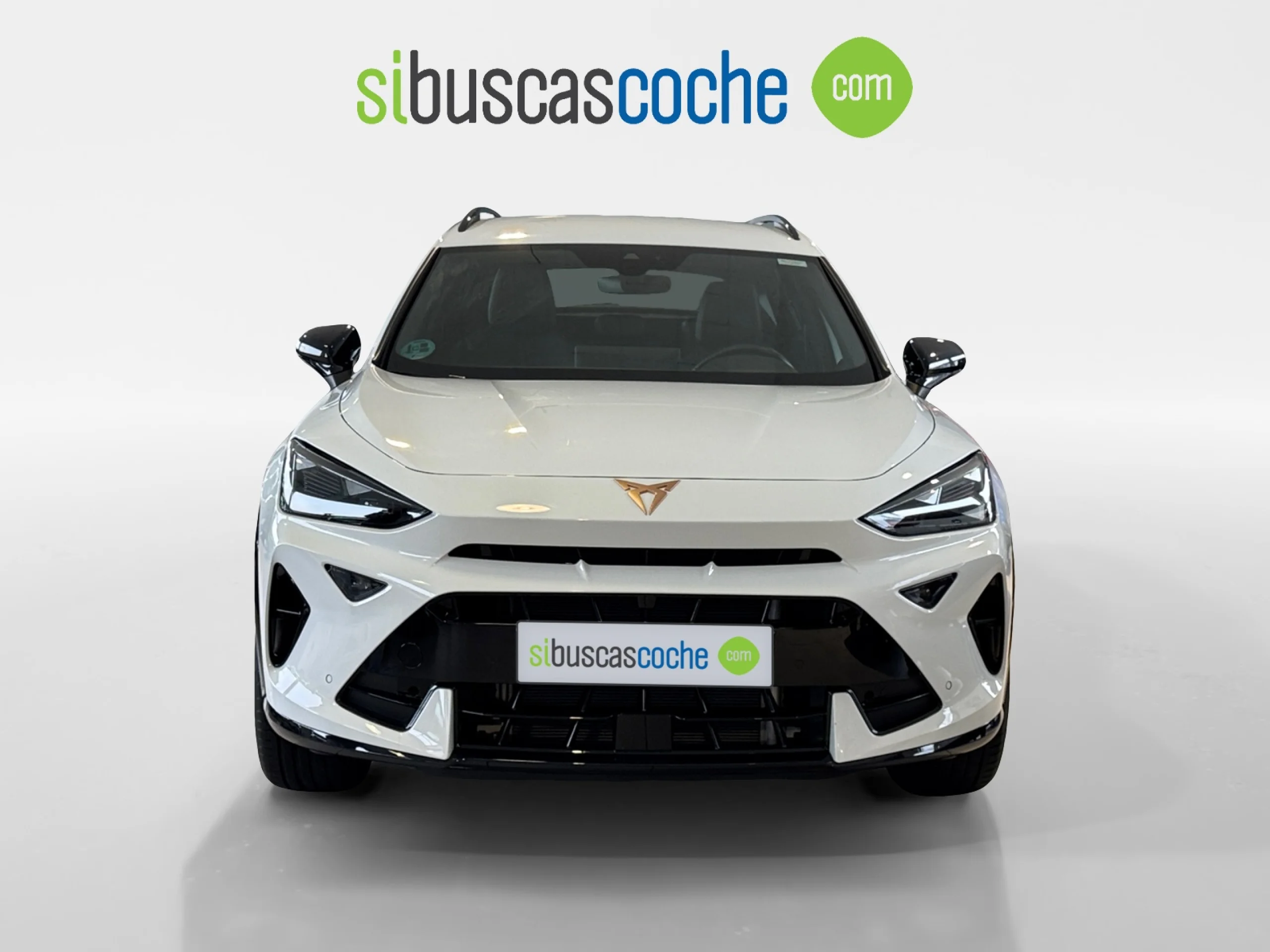 CUPRA FORMENTOR 2.0 TDI 110KW (150 CV) DSG - Foto 16