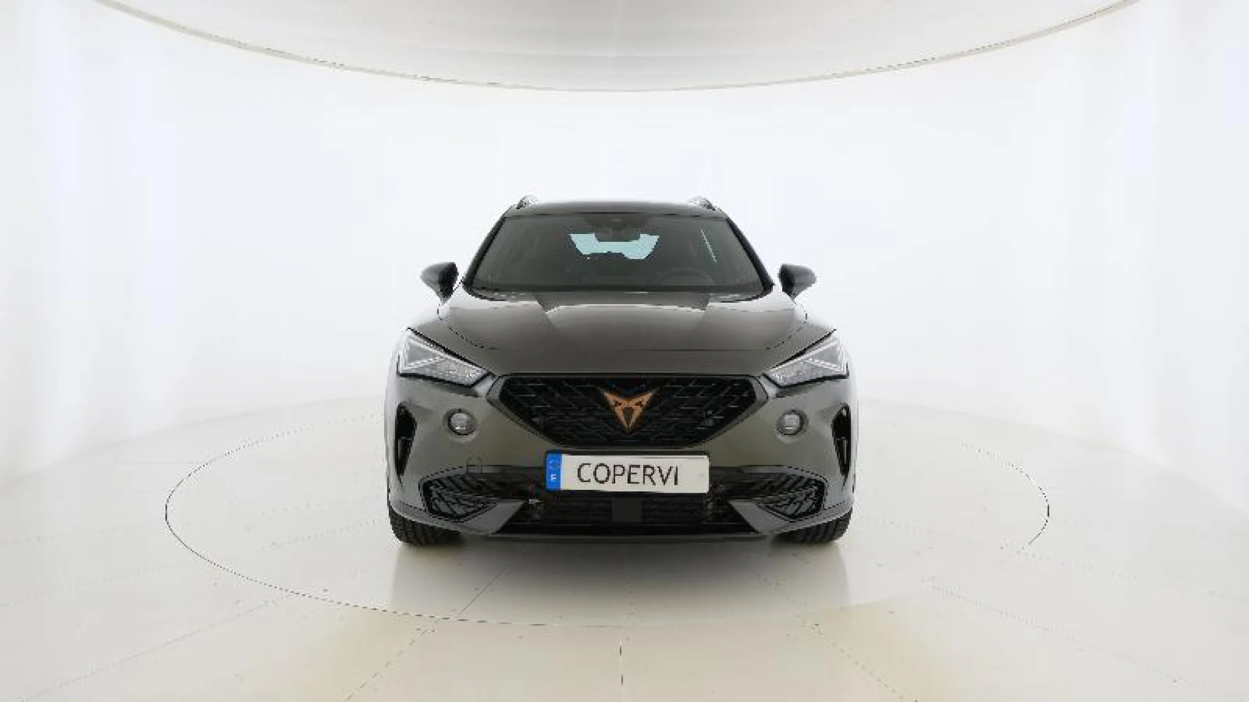 CUPRA FORMENTOR 2.0 TSI 180KW (245 CV) VZ TRIBE ED DSG - Foto 1