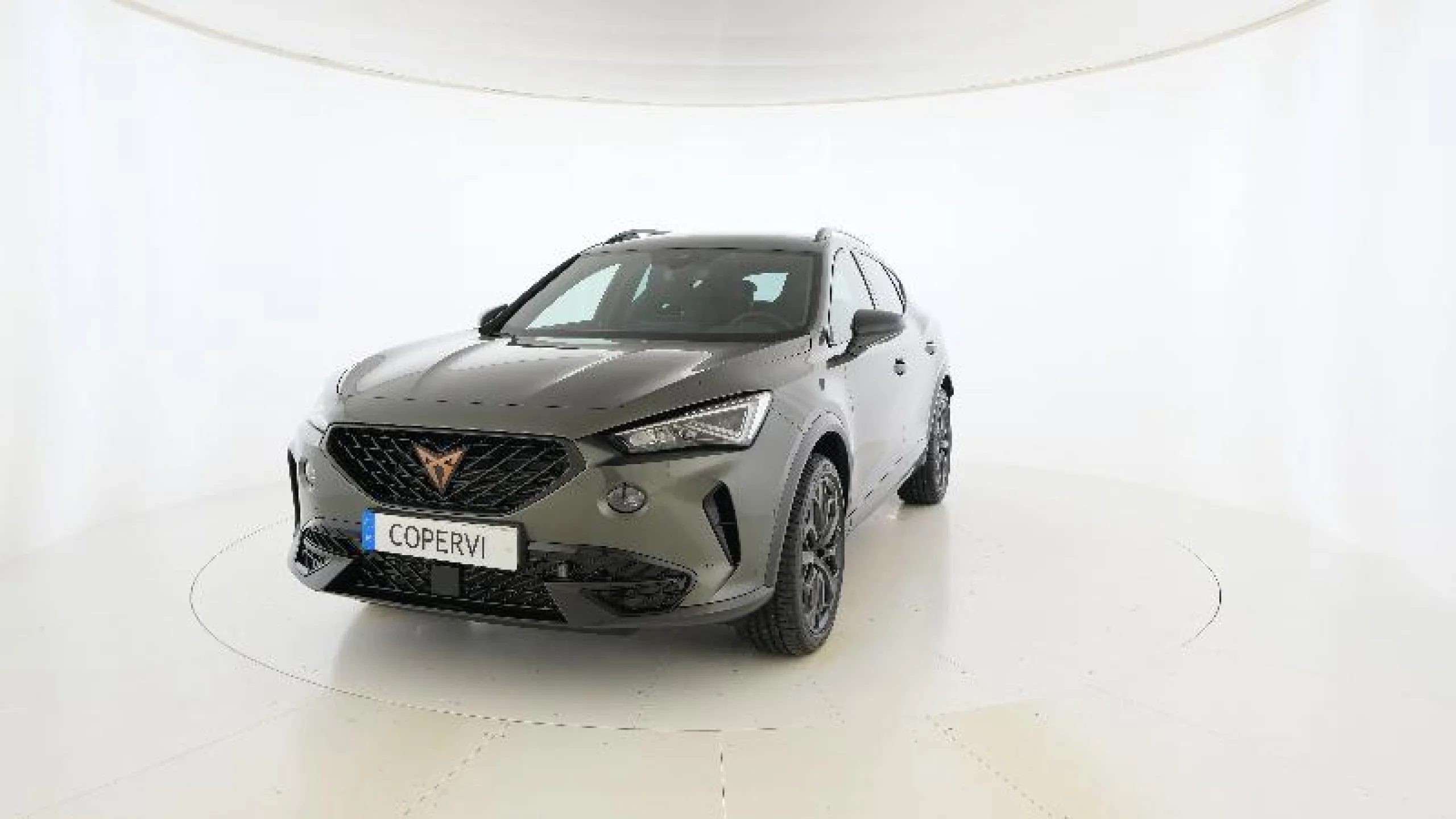 CUPRA FORMENTOR 2.0 TSI 180KW (245 CV) VZ TRIBE ED DSG - Foto 2