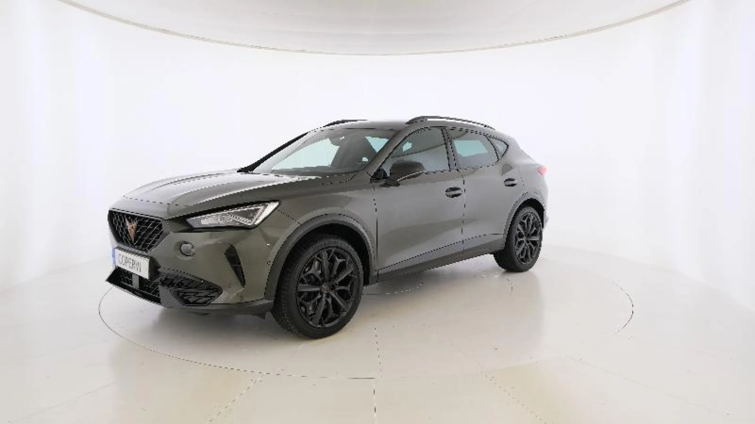 CUPRA FORMENTOR 2.0 TSI 180KW (245 CV) VZ TRIBE ED DSG - Foto 3