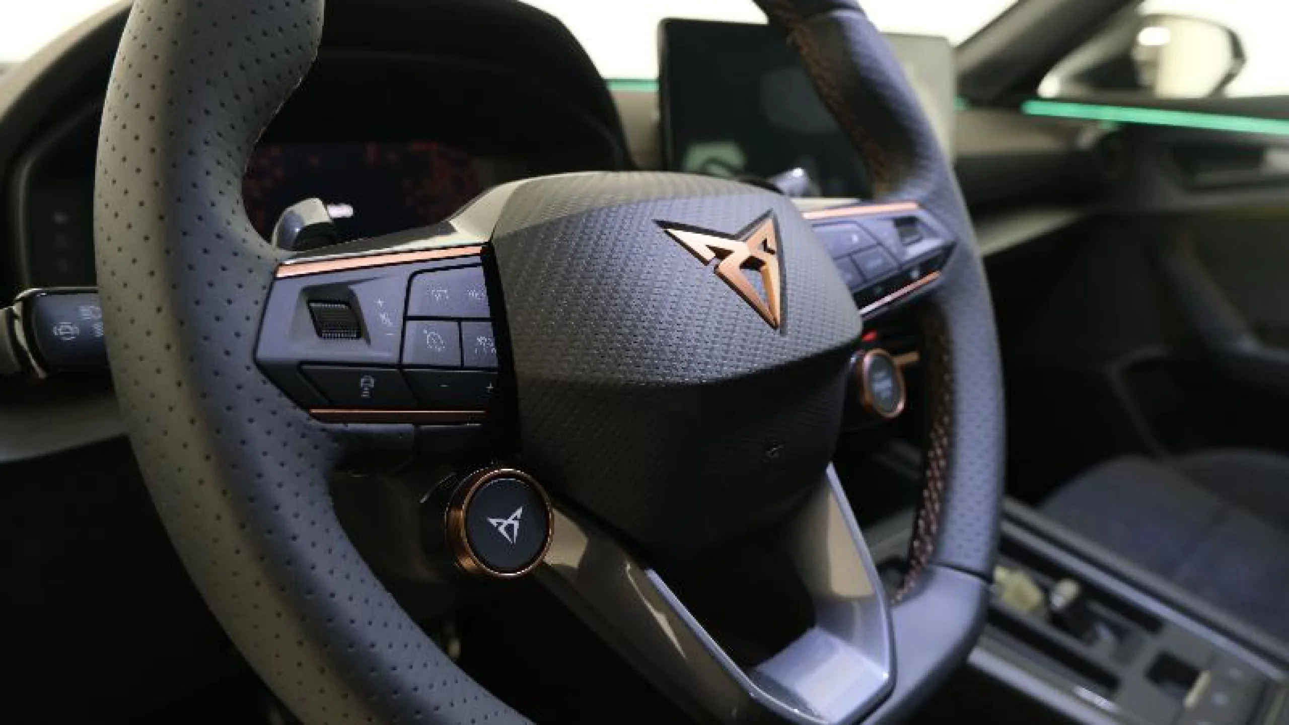 CUPRA FORMENTOR 2.0 TSI 180KW (245 CV) VZ TRIBE ED DSG - Foto 27