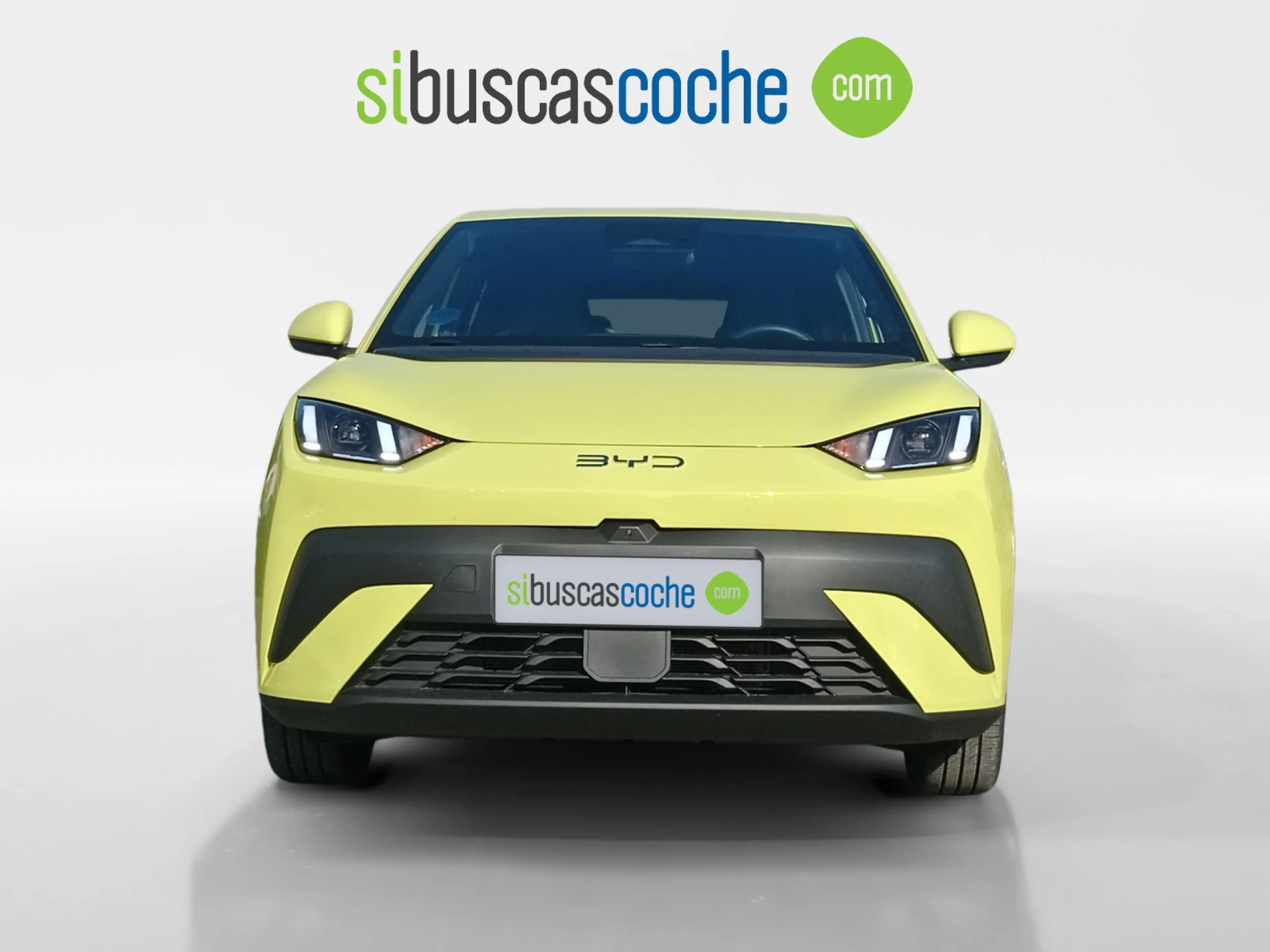 BYD DOLPHIN SURF COMFORT - Foto 17