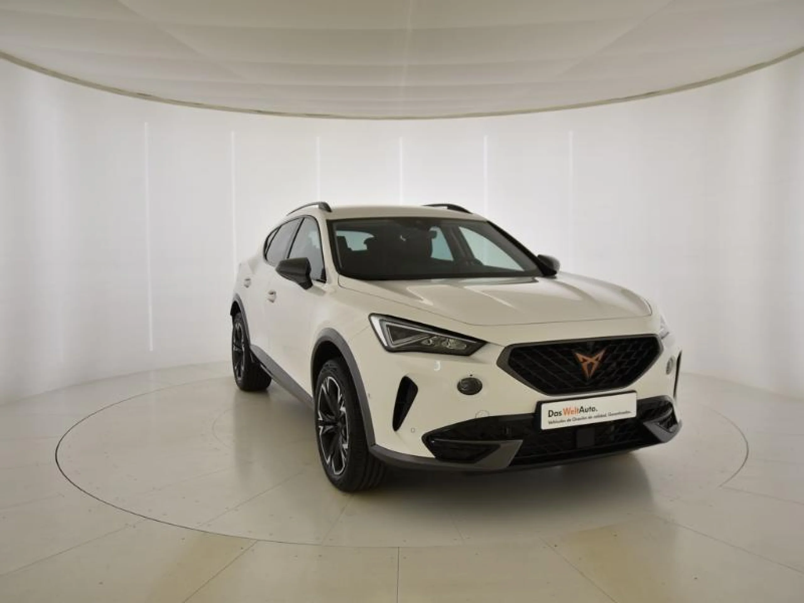 CUPRA FORMENTOR 1.5 TSI 110KW (150 CV) - Foto 1