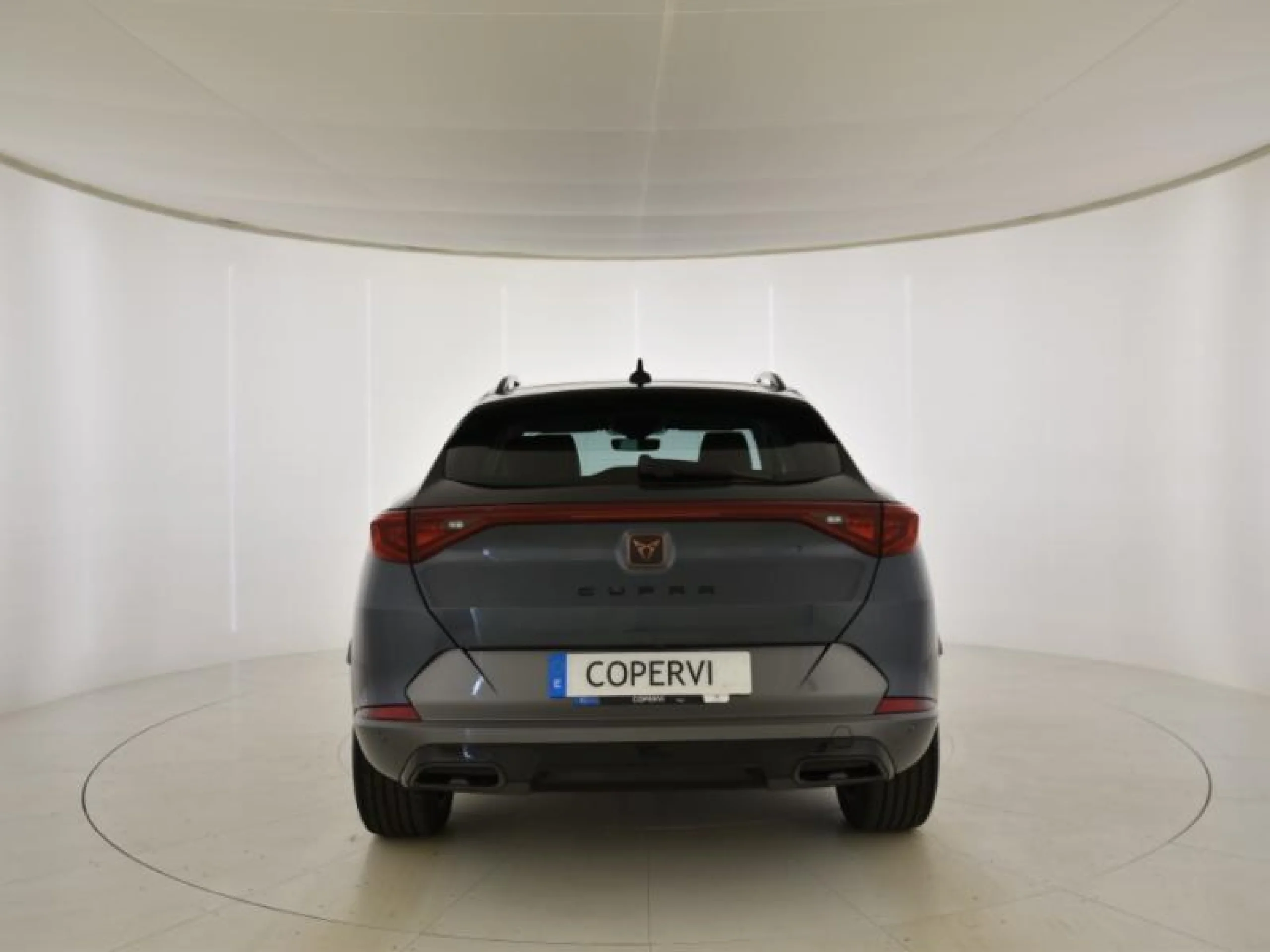 CUPRA FORMENTOR 1.5 TSI 110KW (150 CV) DSG - Foto 1