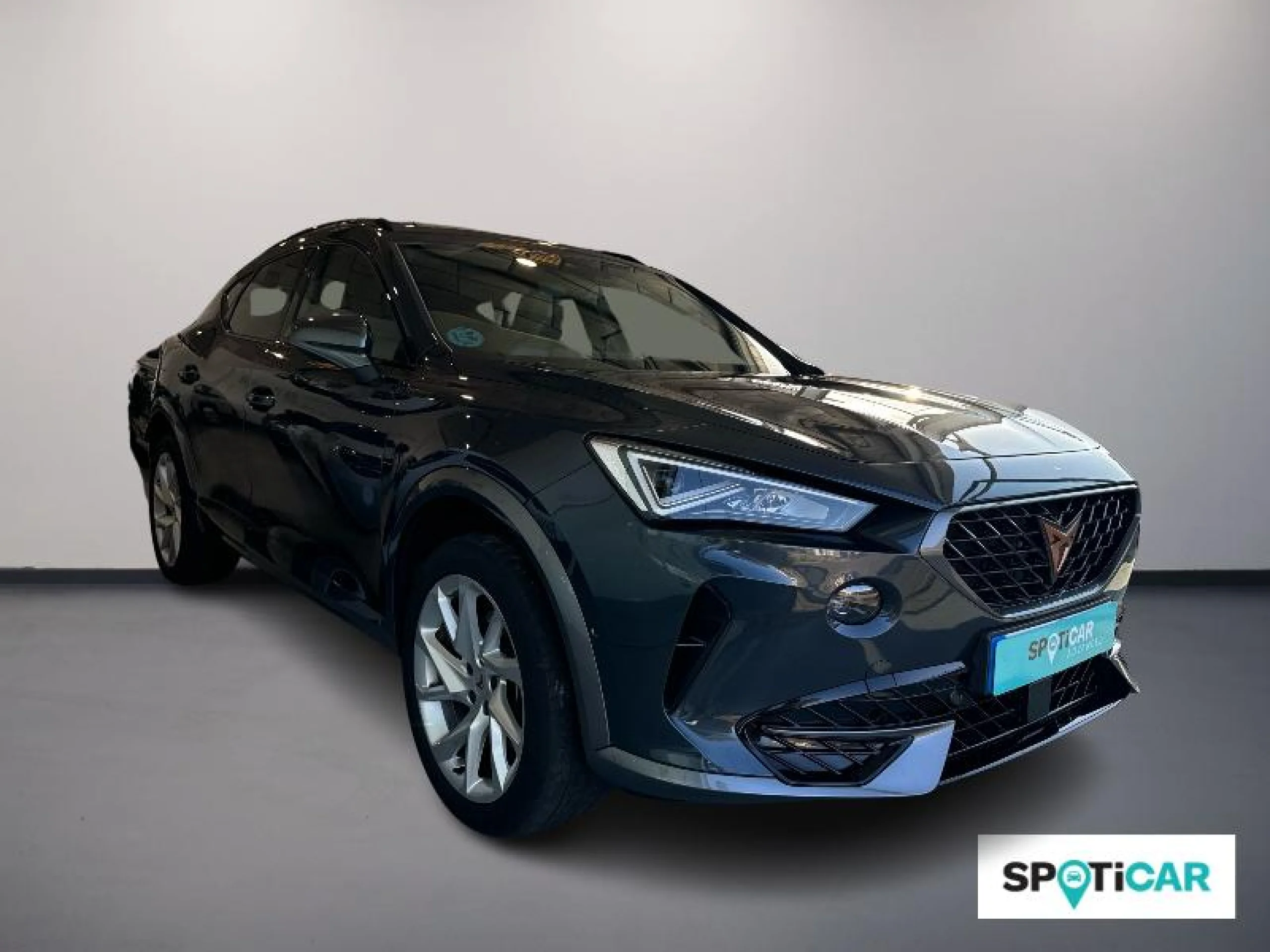 CUPRA FORMENTOR 1.5 TSI 110KW (150 CV) DSG - Foto 1