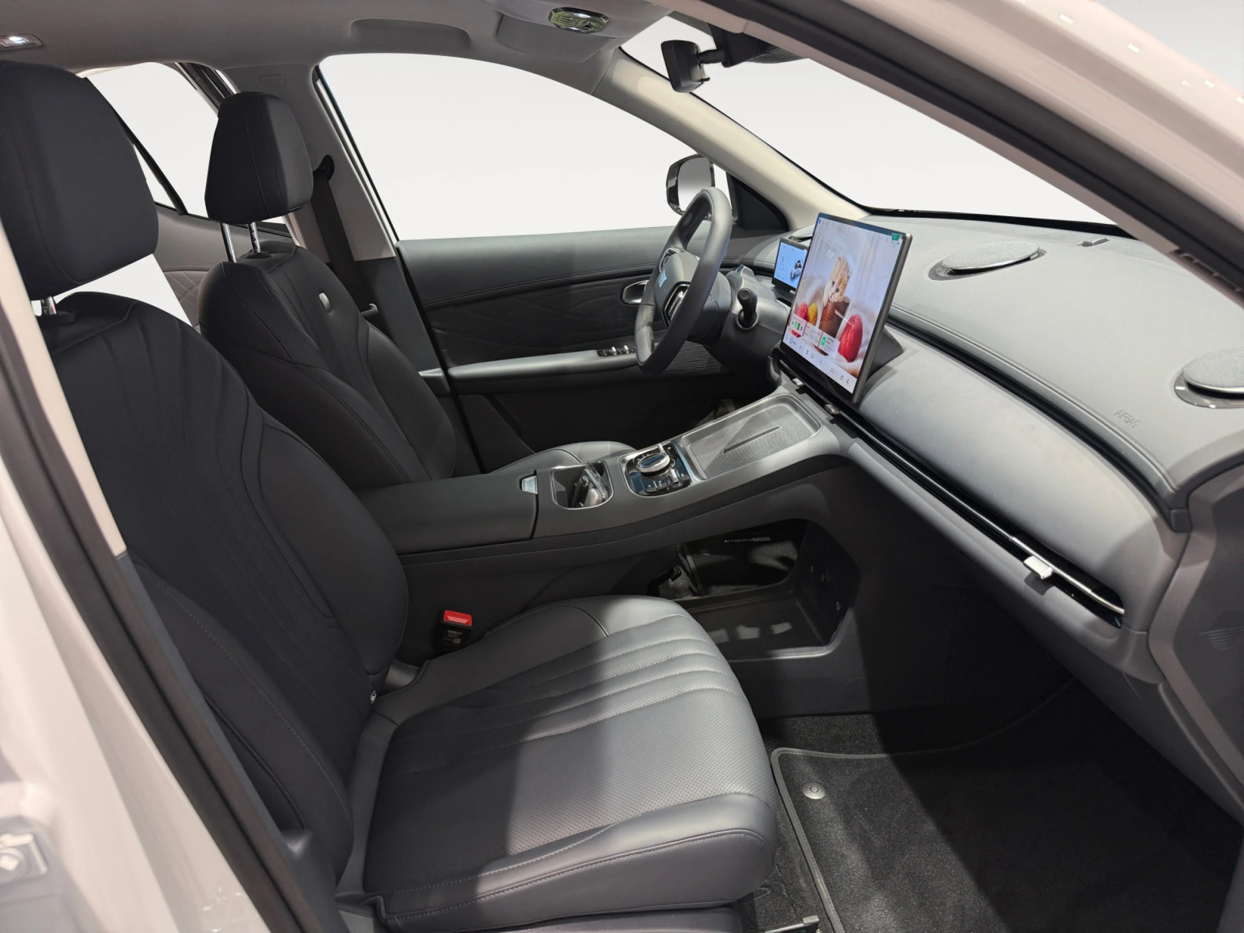 GEELY STARRAY EM I STARRAY PRO - Foto 5