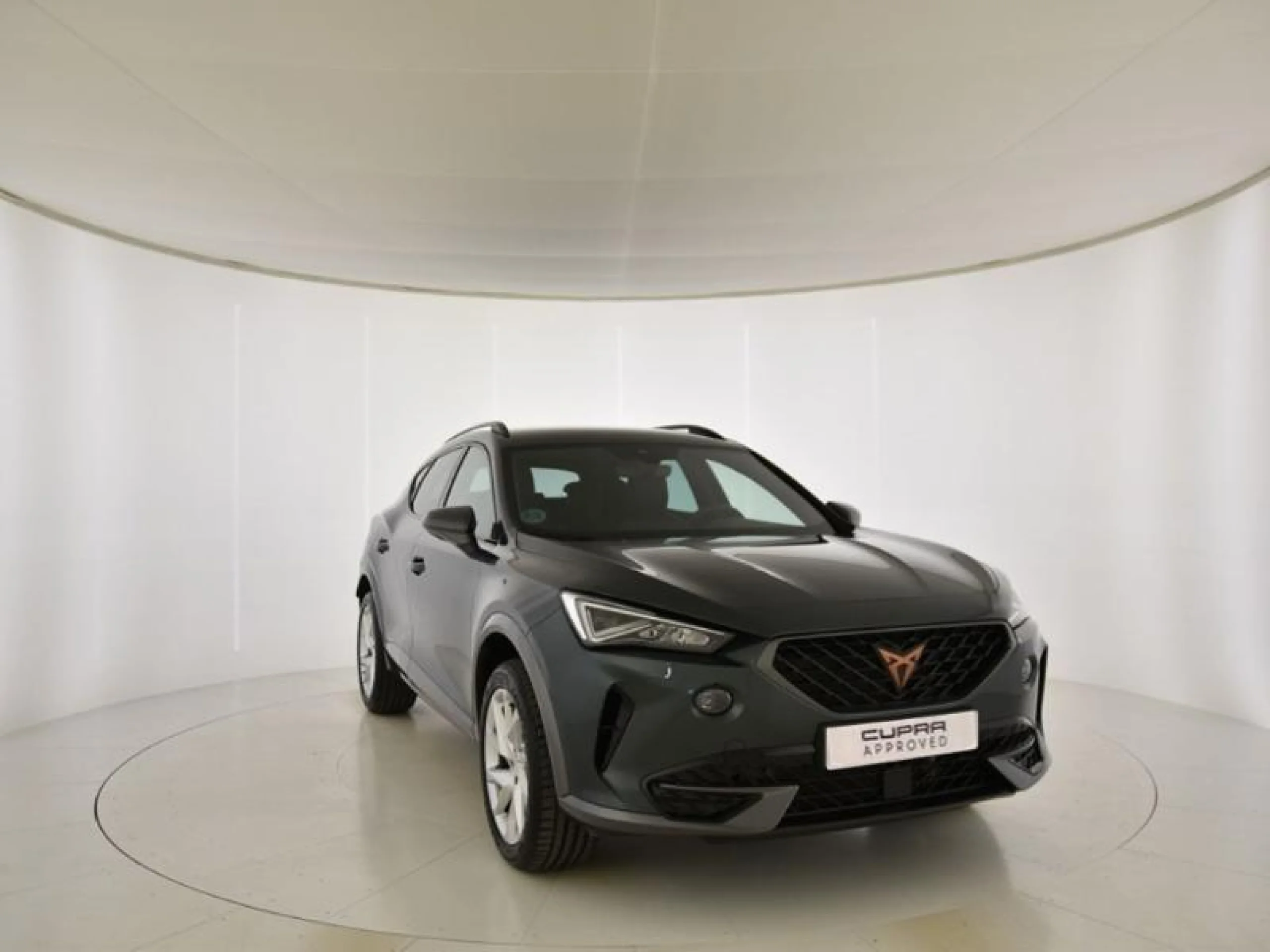 CUPRA FORMENTOR 1.5 TSI 110KW (150 CV) - Foto 1