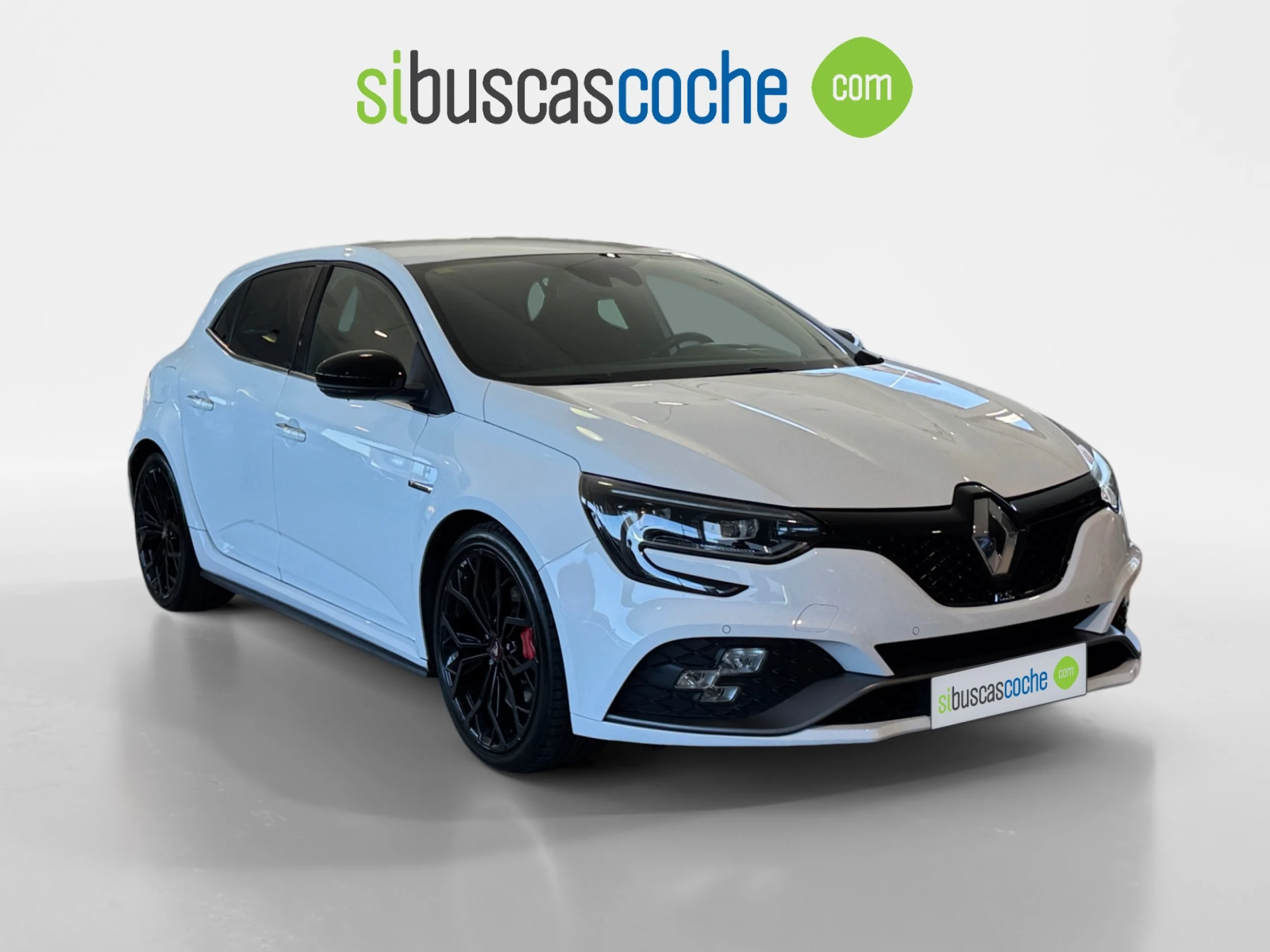 RENAULT MEGANE RS TCE GPF 205 KW (280CV) - Foto 1