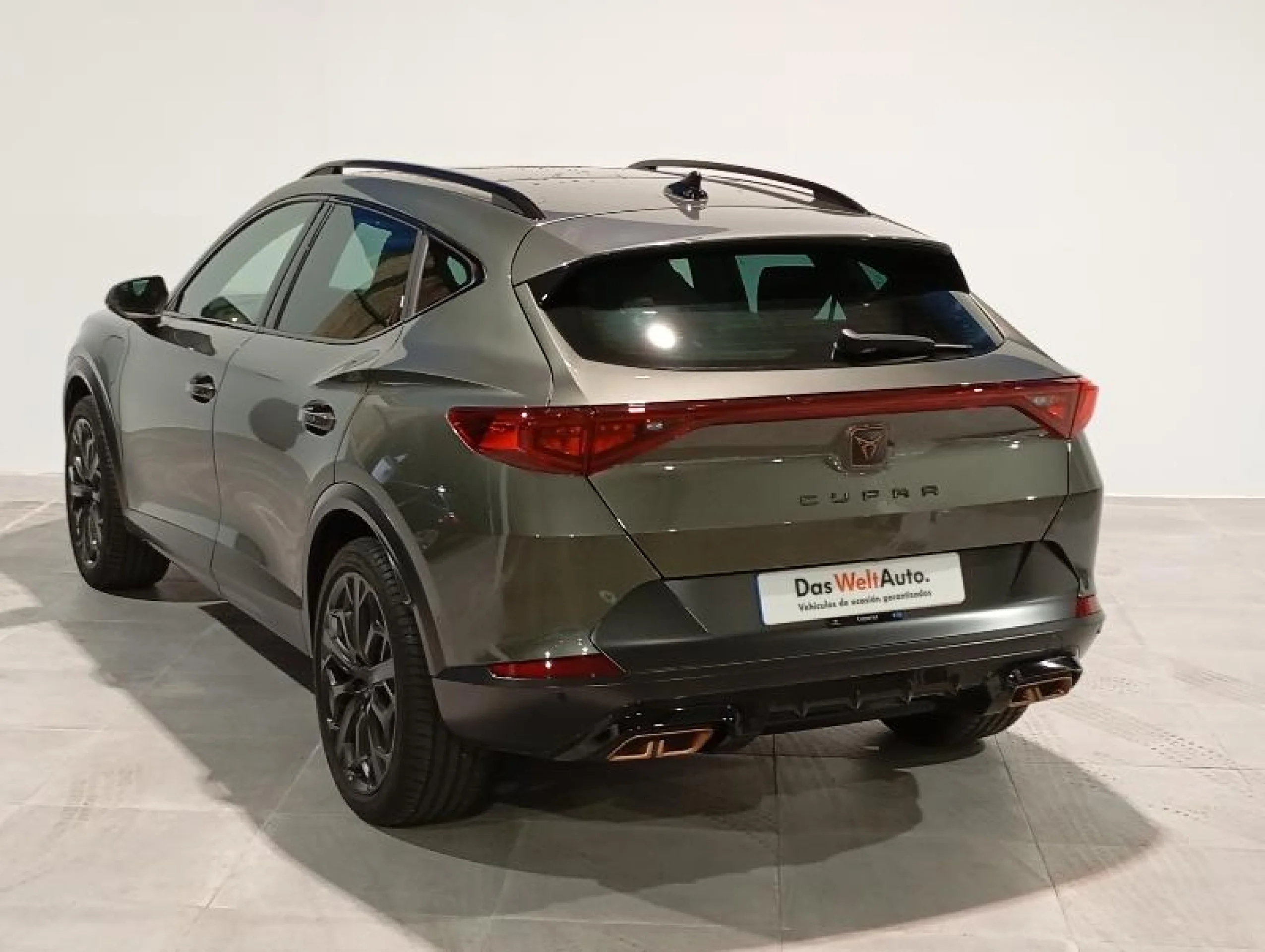 CUPRA FORMENTOR 1.4 E HYBRID 180KW VZ TRIBE EDITION DSG - Foto 2