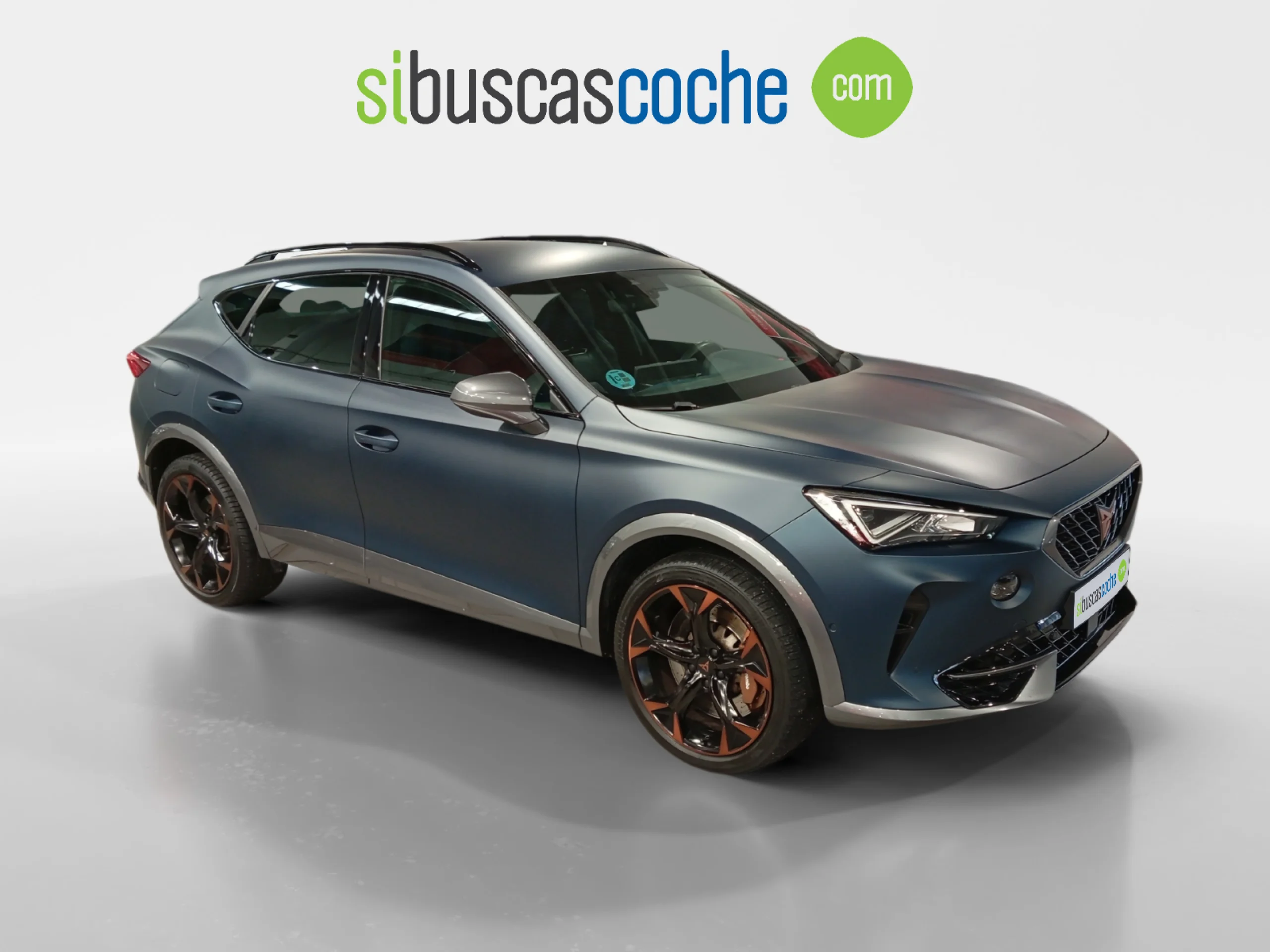 CUPRA FORMENTOR 2.0 TSI 228KW (310 CV) VZ 4DRIVE DSG - Foto 1
