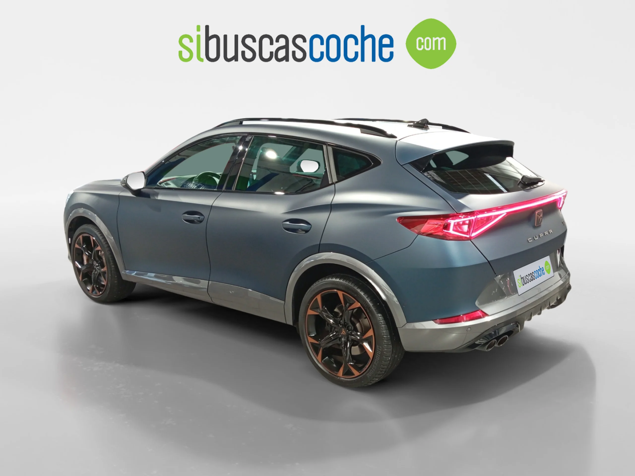 CUPRA FORMENTOR 2.0 TSI 228KW (310 CV) VZ 4DRIVE DSG - Foto 2