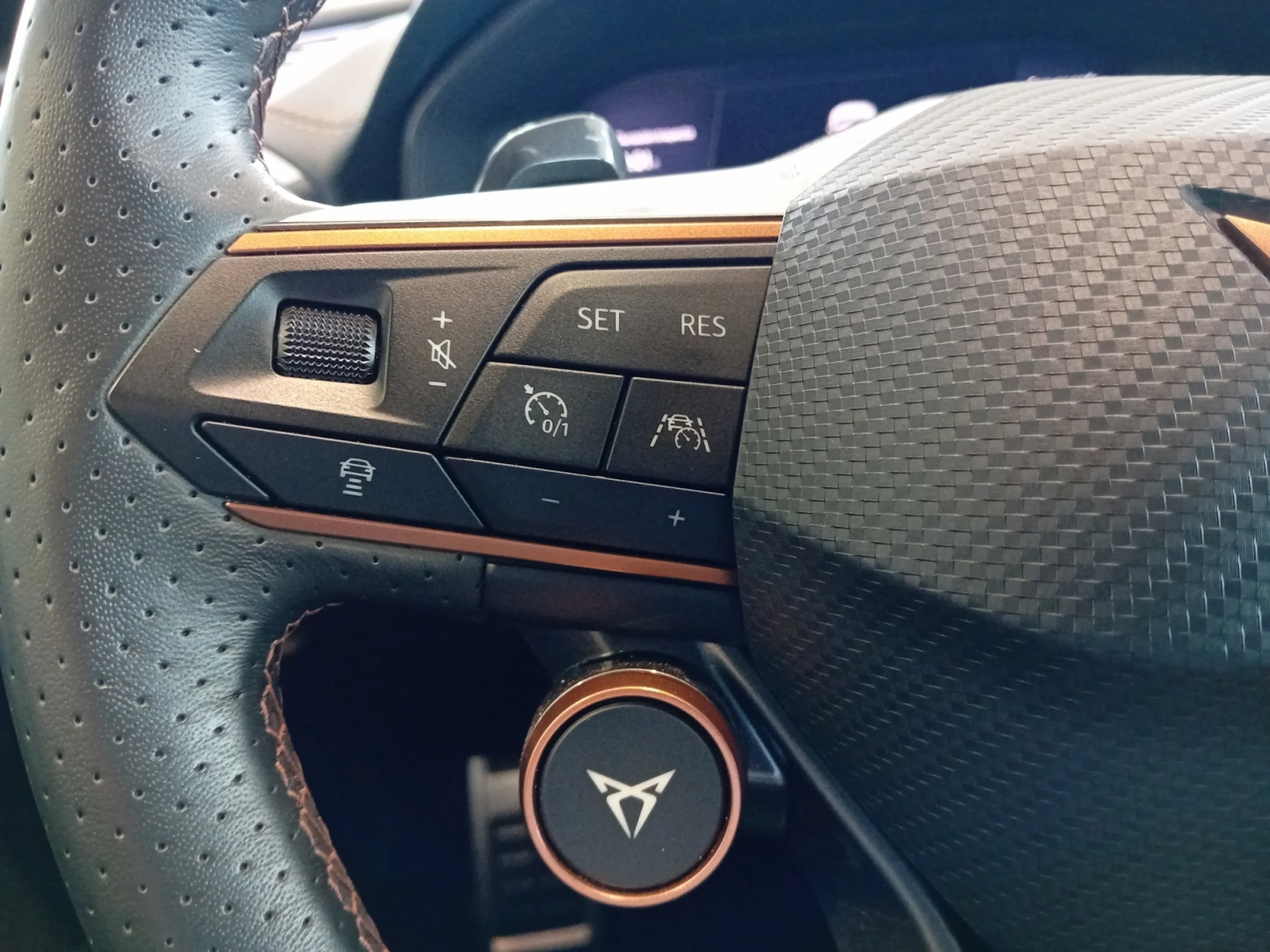 CUPRA FORMENTOR 1.4 E HYBRID 180KW (245 CV) VZ DSG - Foto 11