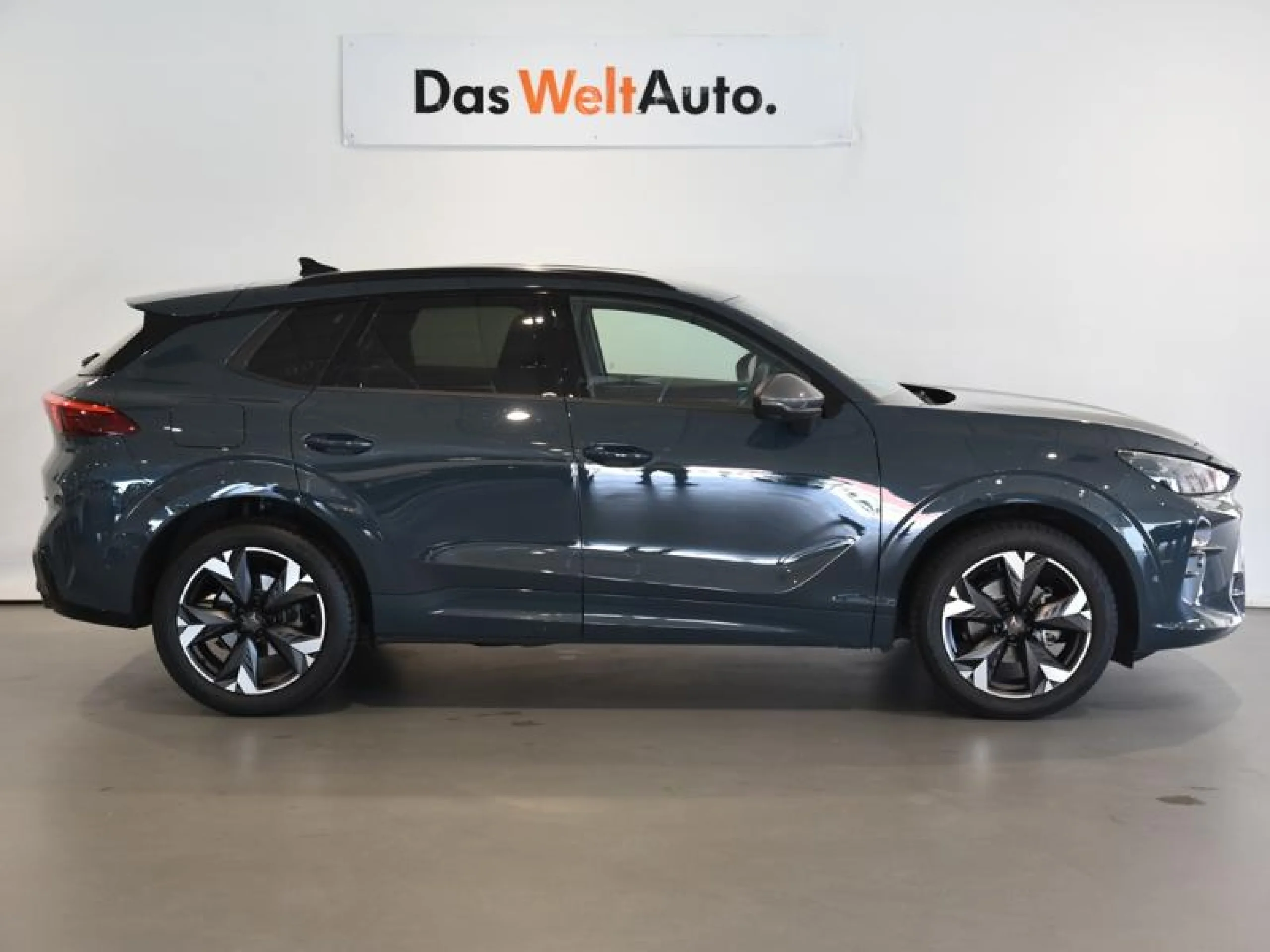 CUPRA TERRAMAR 1.5 ETSI 110KW (150 CV) DSG - Foto 3