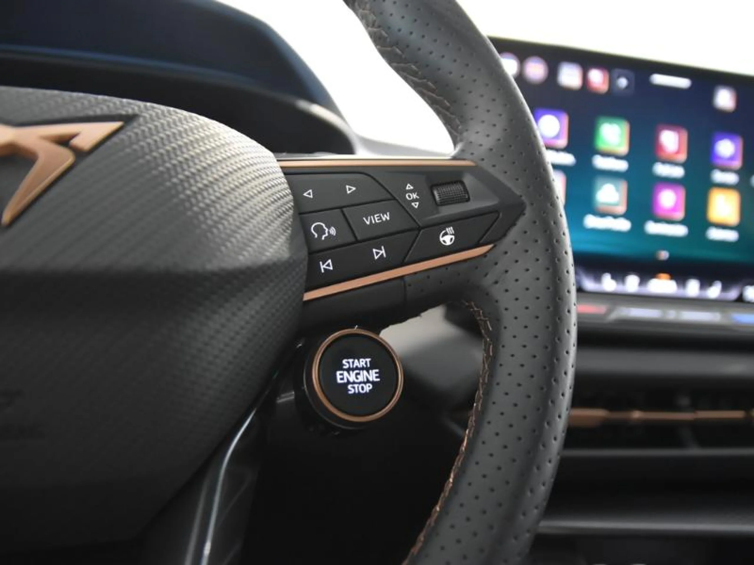 CUPRA TERRAMAR 1.5 ETSI 110KW (150 CV) DSG - Foto 18