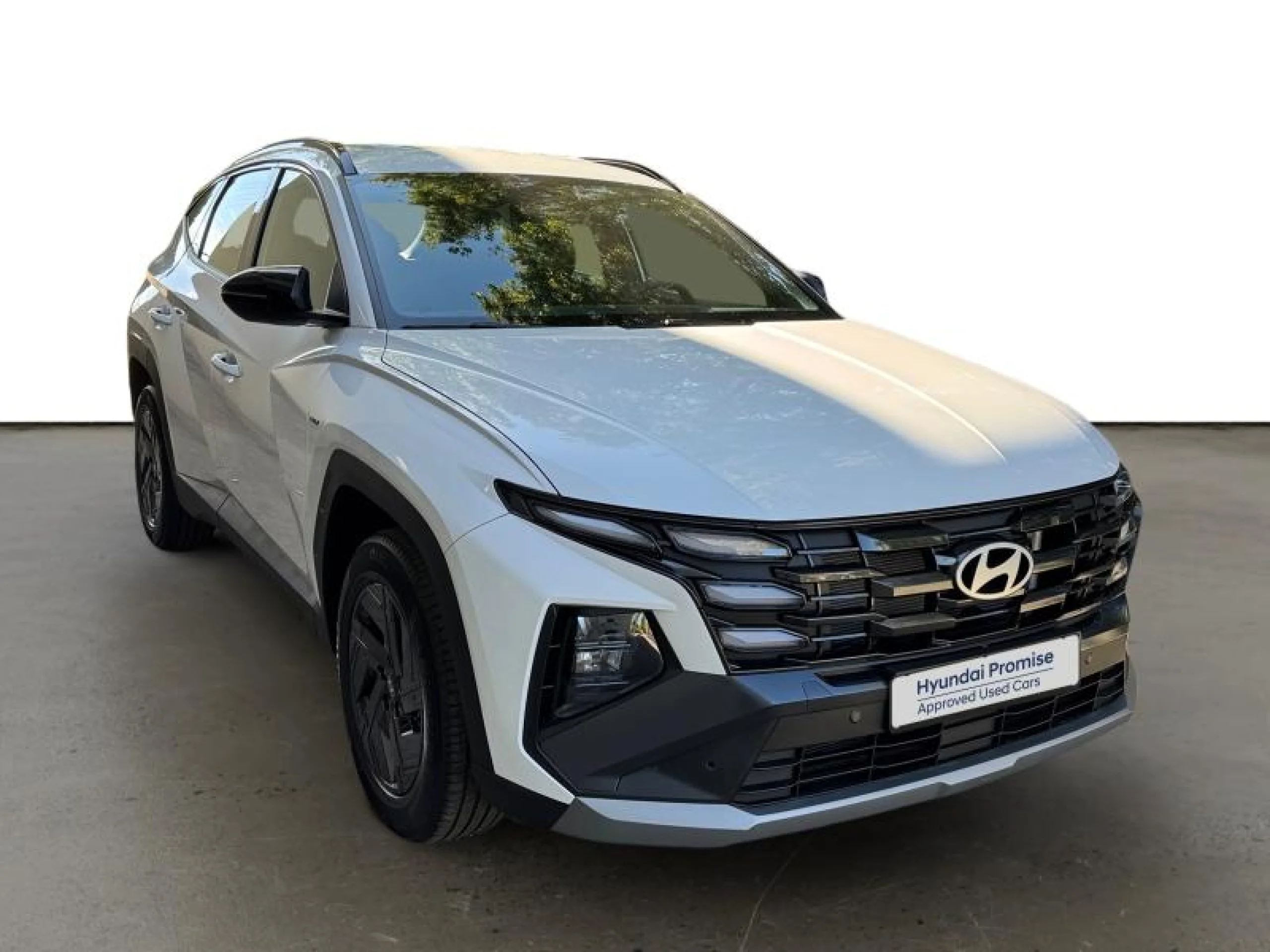 HYUNDAI TUCSON 1.6T 176KW (239CV) HEV 4X4 AT BLACK LINE - Foto 1
