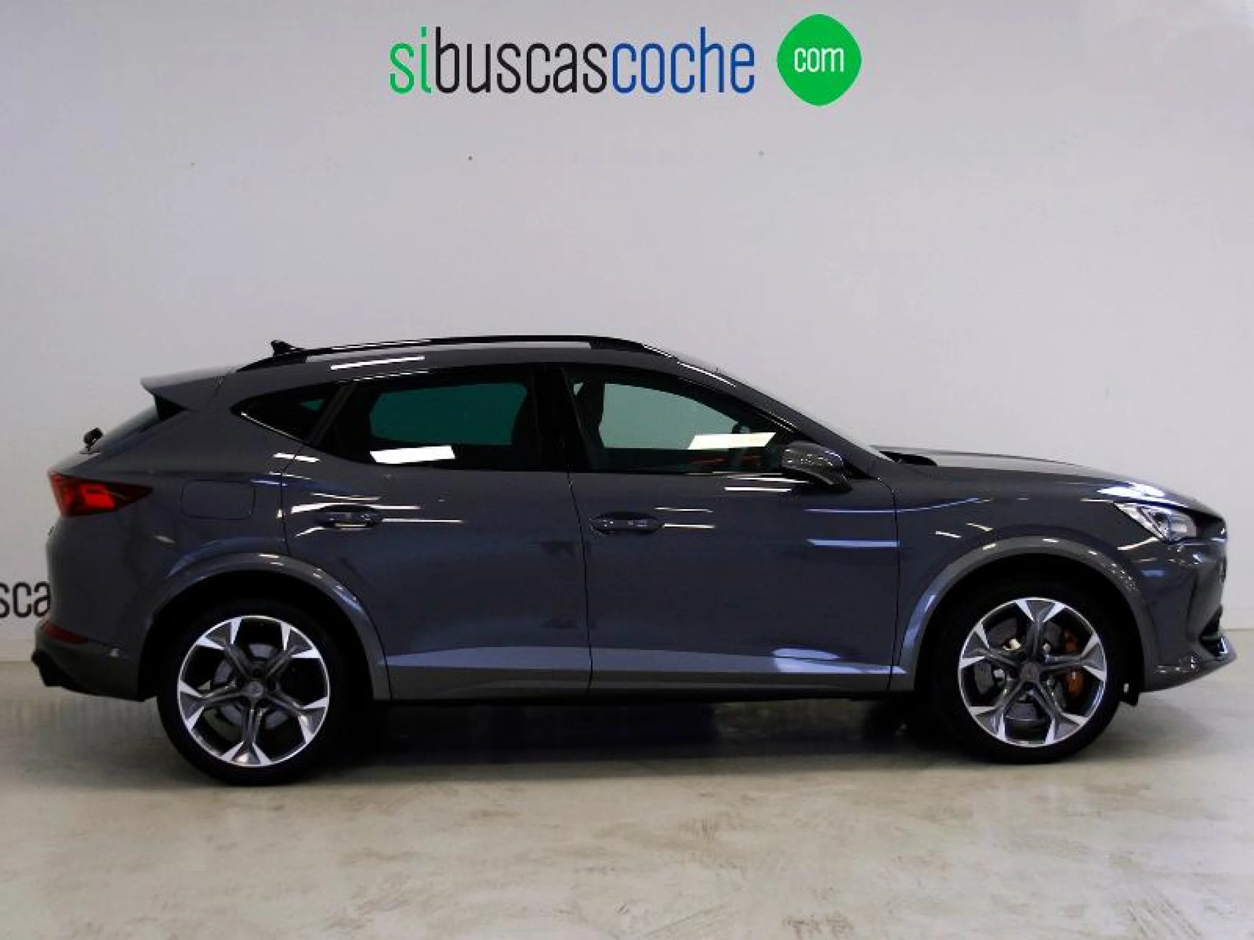CUPRA FORMENTOR 2.0 TSI 228KW (310 CV) VZ 4DRIVE DSG - Foto 3