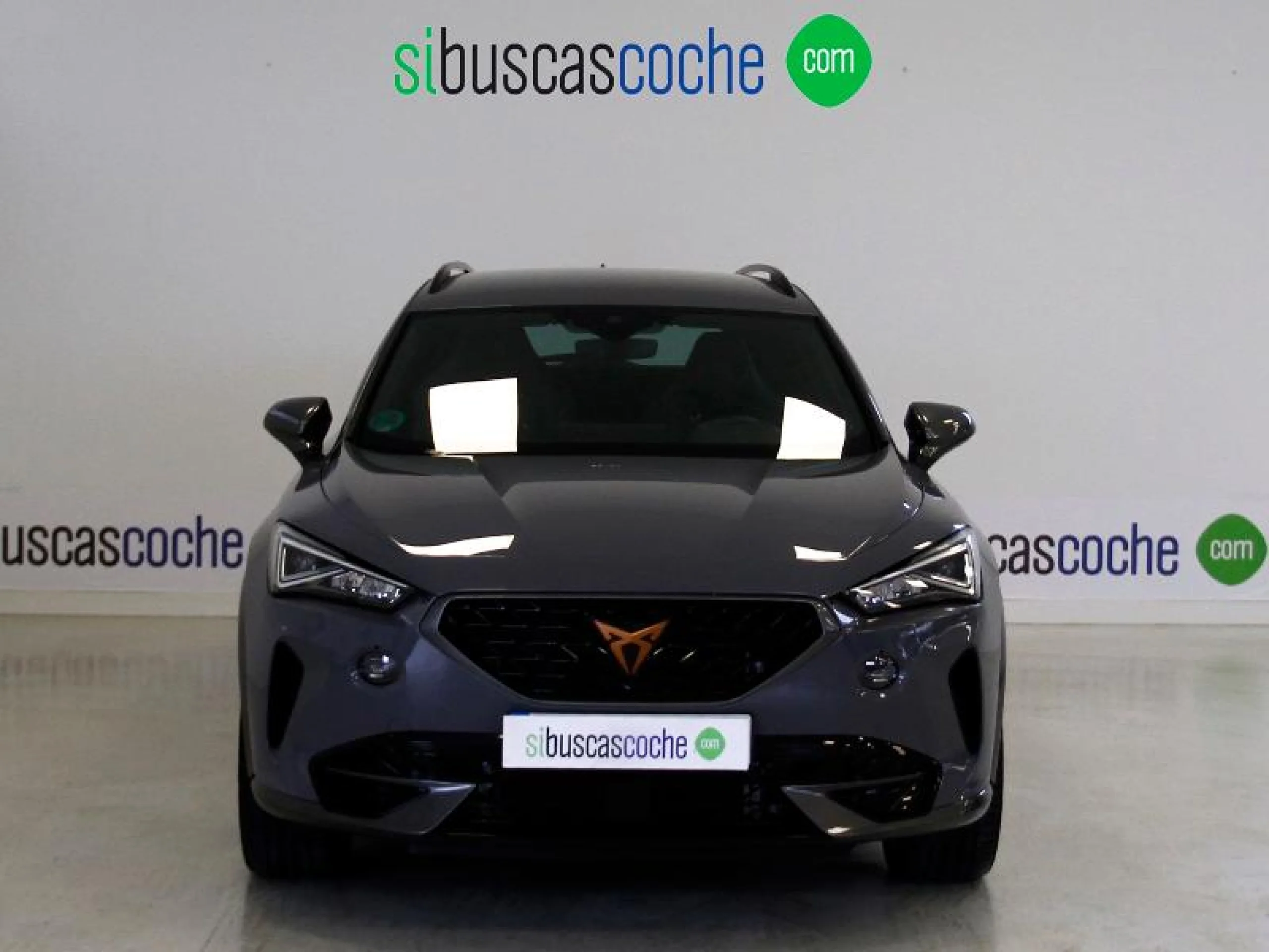 CUPRA FORMENTOR 2.0 TSI 228KW (310 CV) VZ 4DRIVE DSG - Foto 17