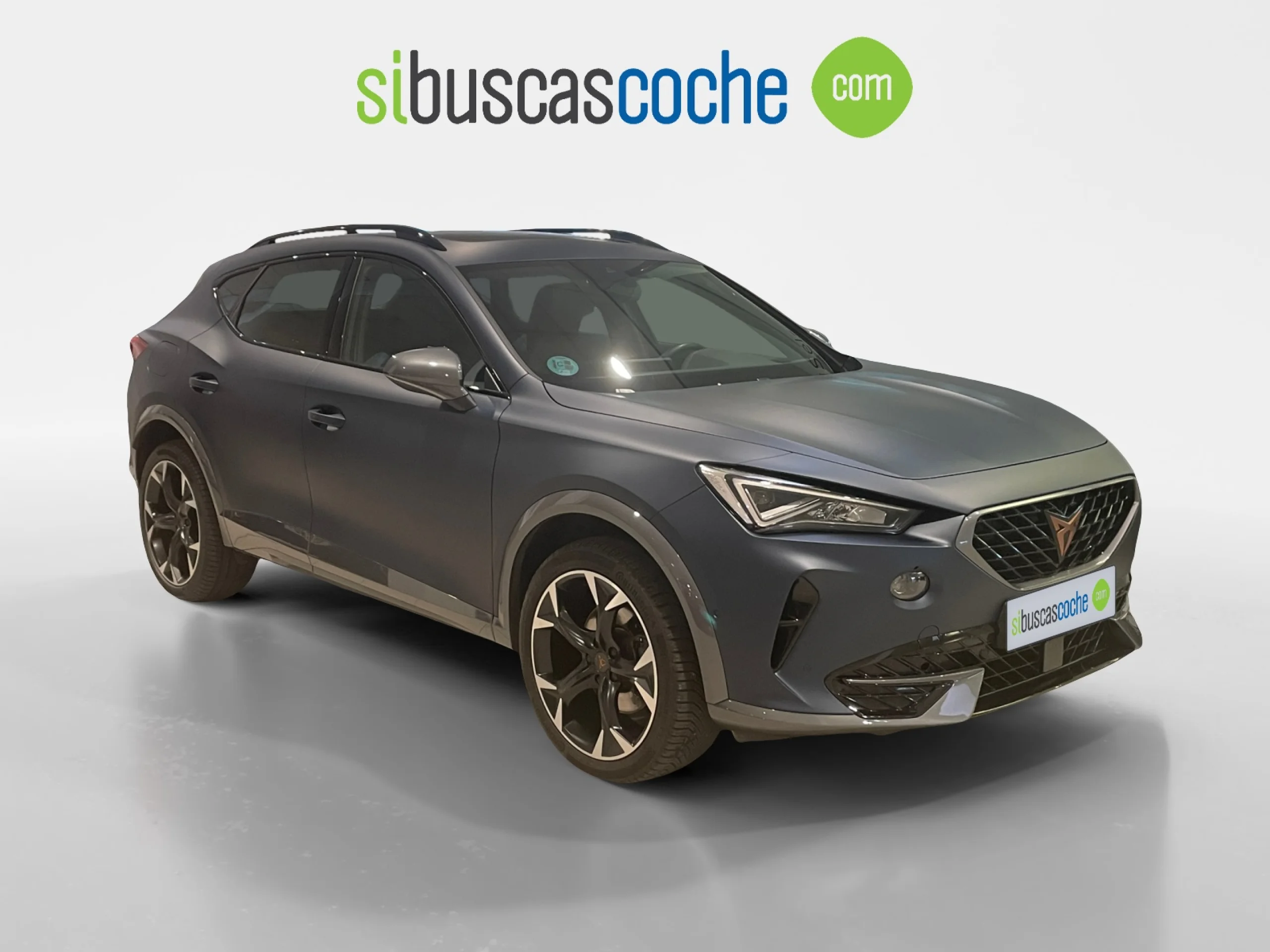 CUPRA FORMENTOR 2.0 TDI 110KW (150 CV) 4DRIVE DSG - Foto 1