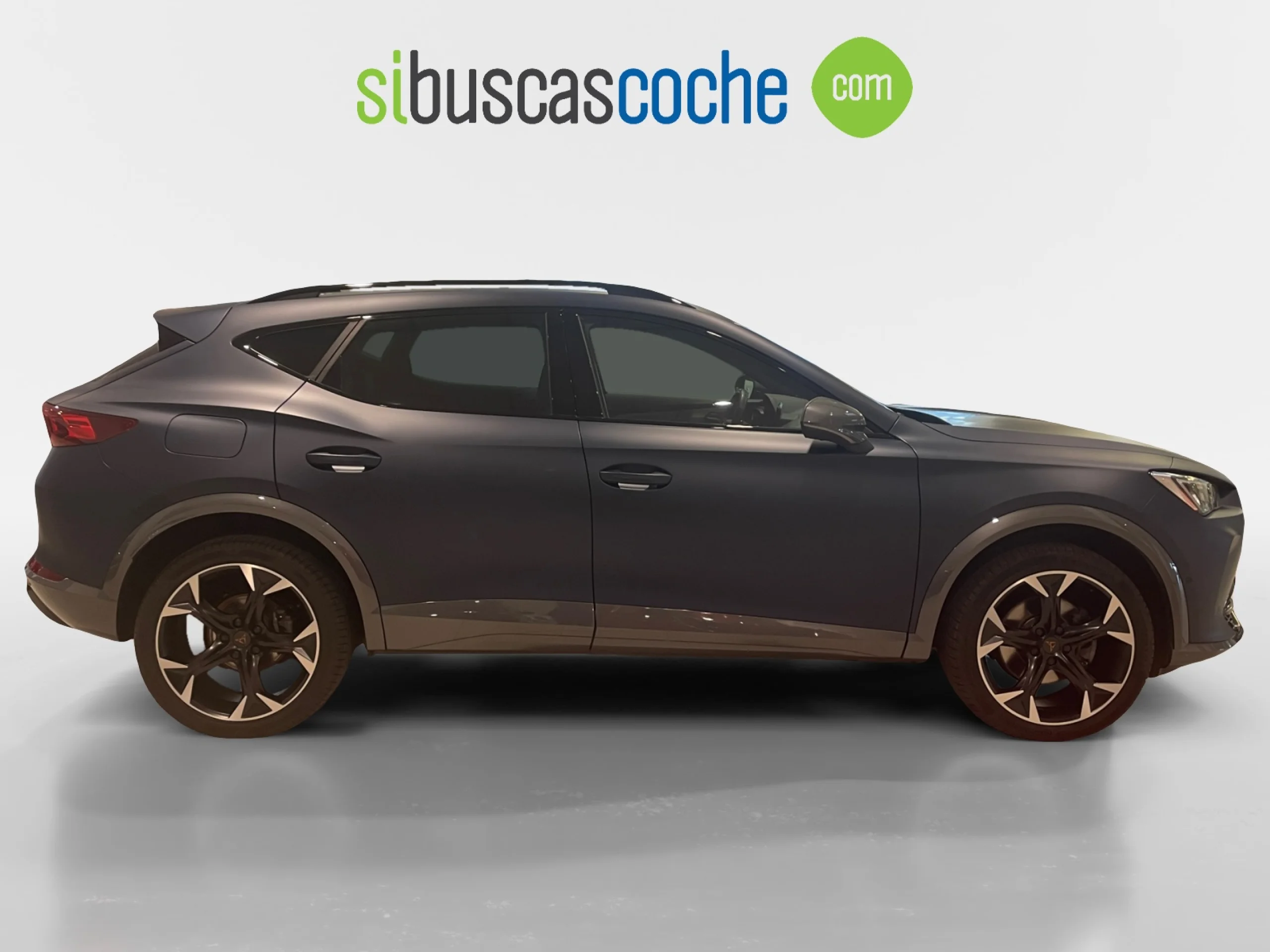 CUPRA FORMENTOR 2.0 TDI 110KW (150 CV) 4DRIVE DSG - Foto 3