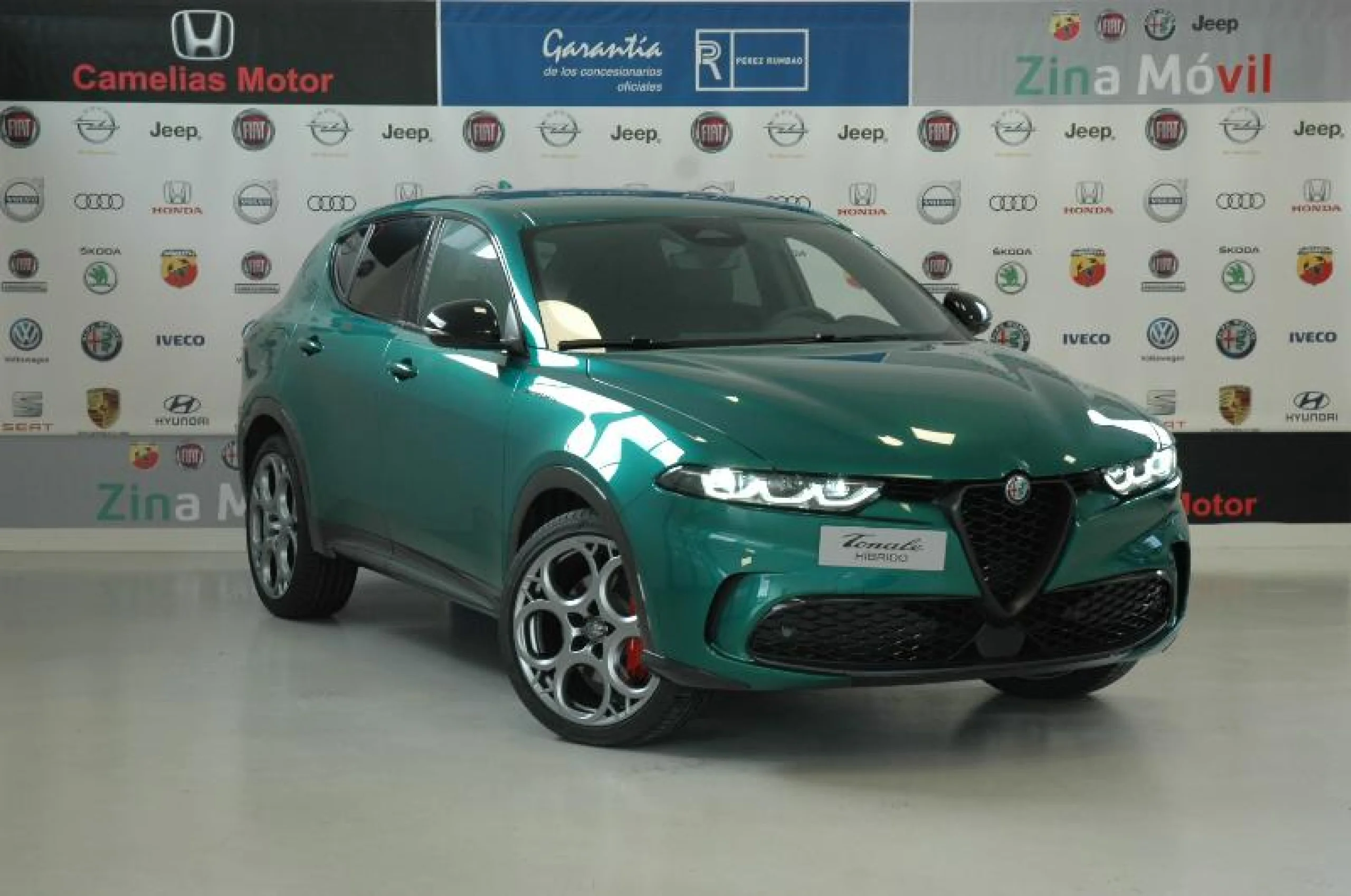 ALFA ROMEO TONALE 1.5 MHEV GASOLINA 130 CV SPECIALE FWD - Foto 1