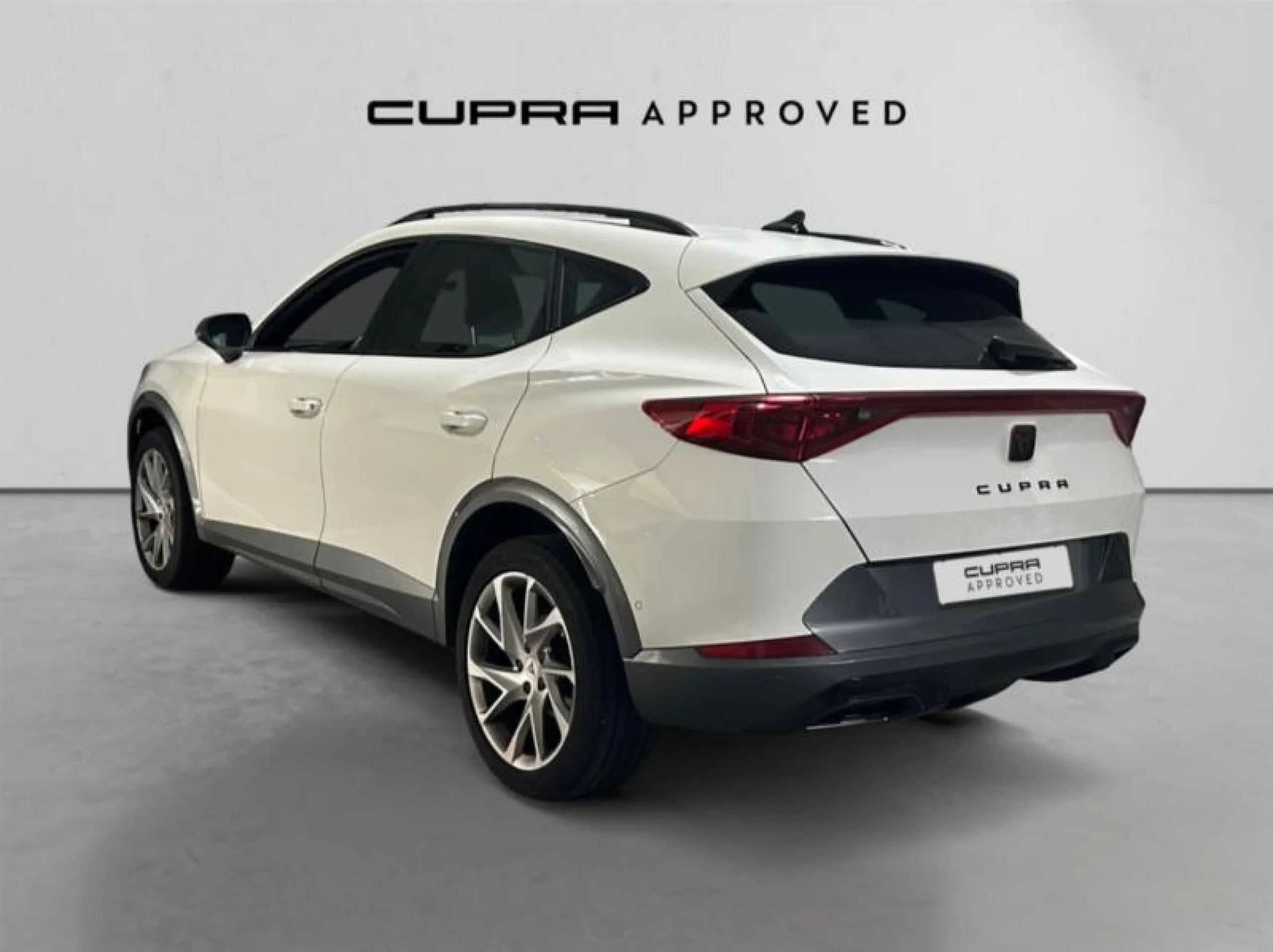 CUPRA FORMENTOR 1.5 TSI 110KW (150 CV) DSG - Foto 2