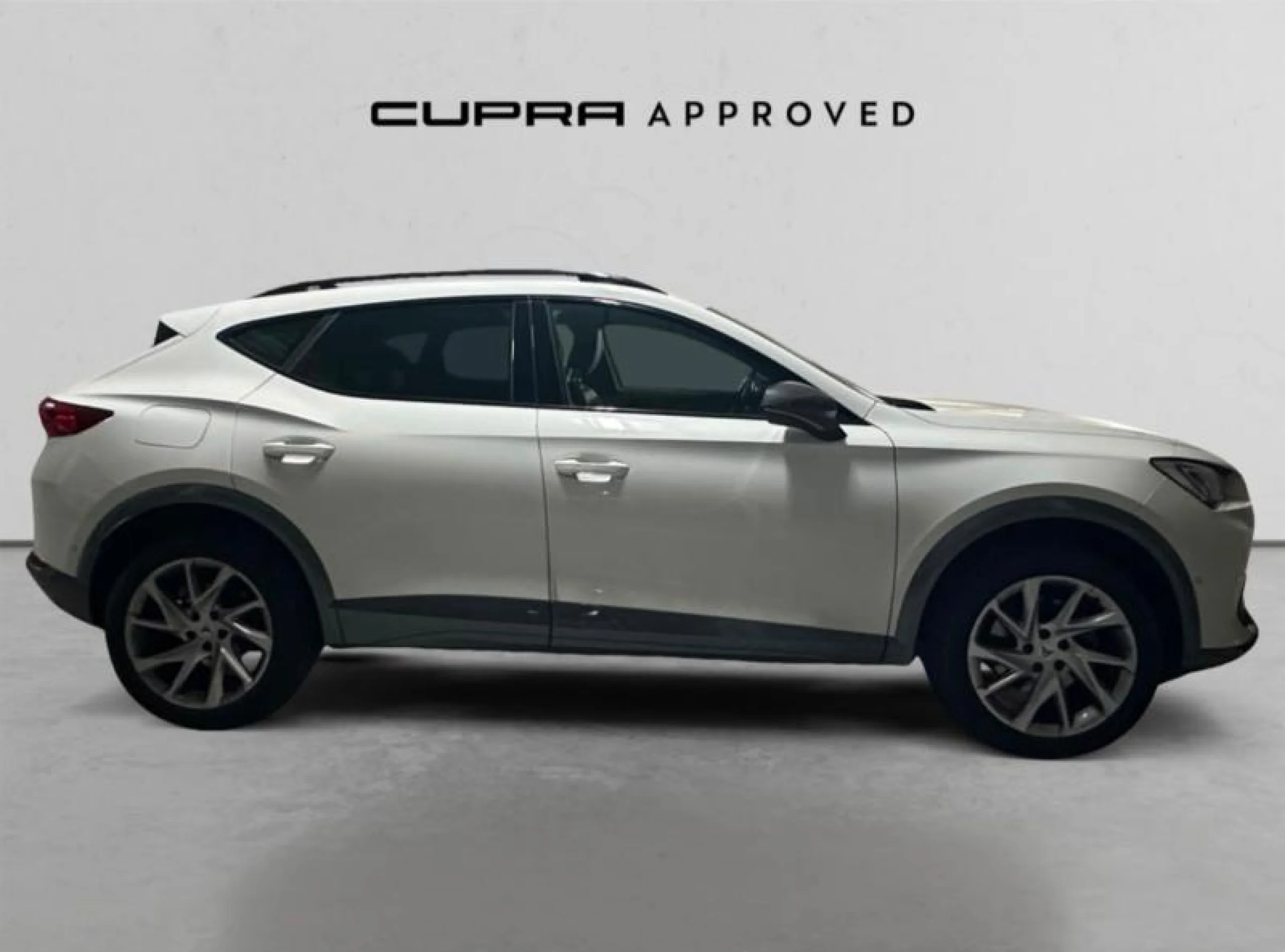 CUPRA FORMENTOR 1.5 TSI 110KW (150 CV) DSG - Foto 3