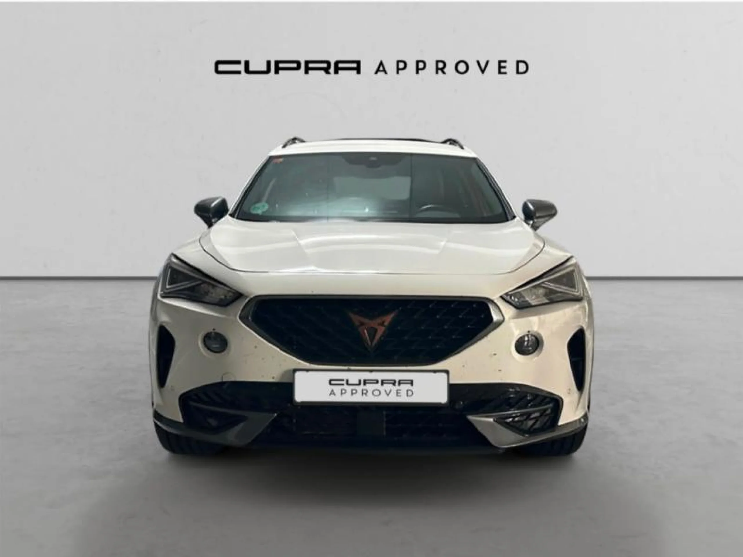 CUPRA FORMENTOR 1.5 TSI 110KW (150 CV) DSG - Foto 9