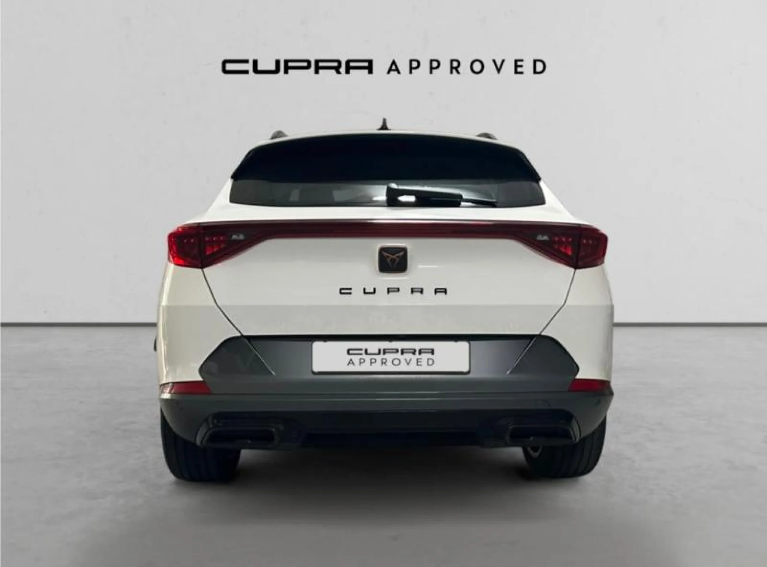CUPRA FORMENTOR 1.5 TSI 110KW (150 CV) DSG - Foto 10