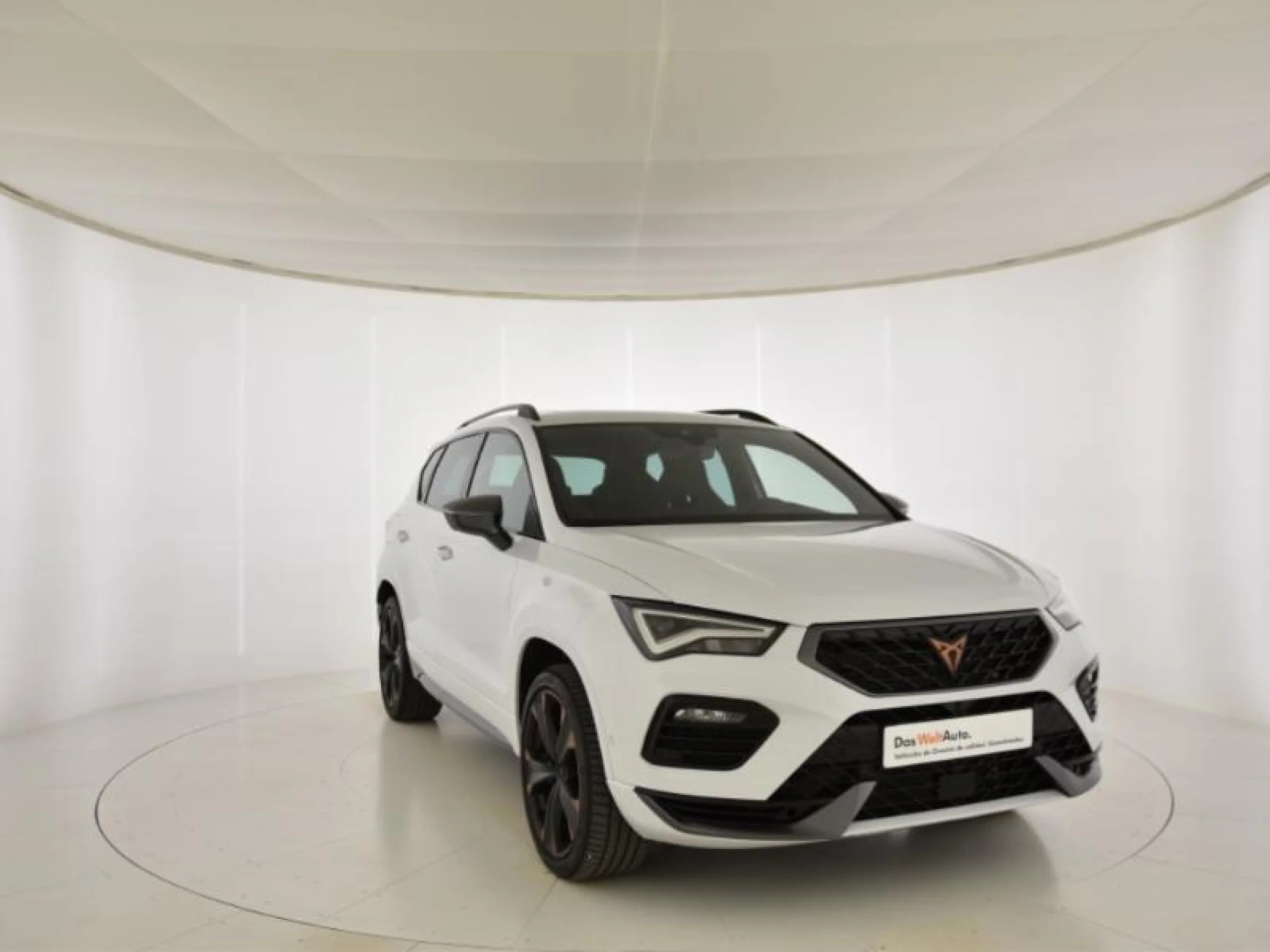 CUPRA ATECA 2.0 TSI 221KW (300CV) 4DRIVE DSG - Foto 1