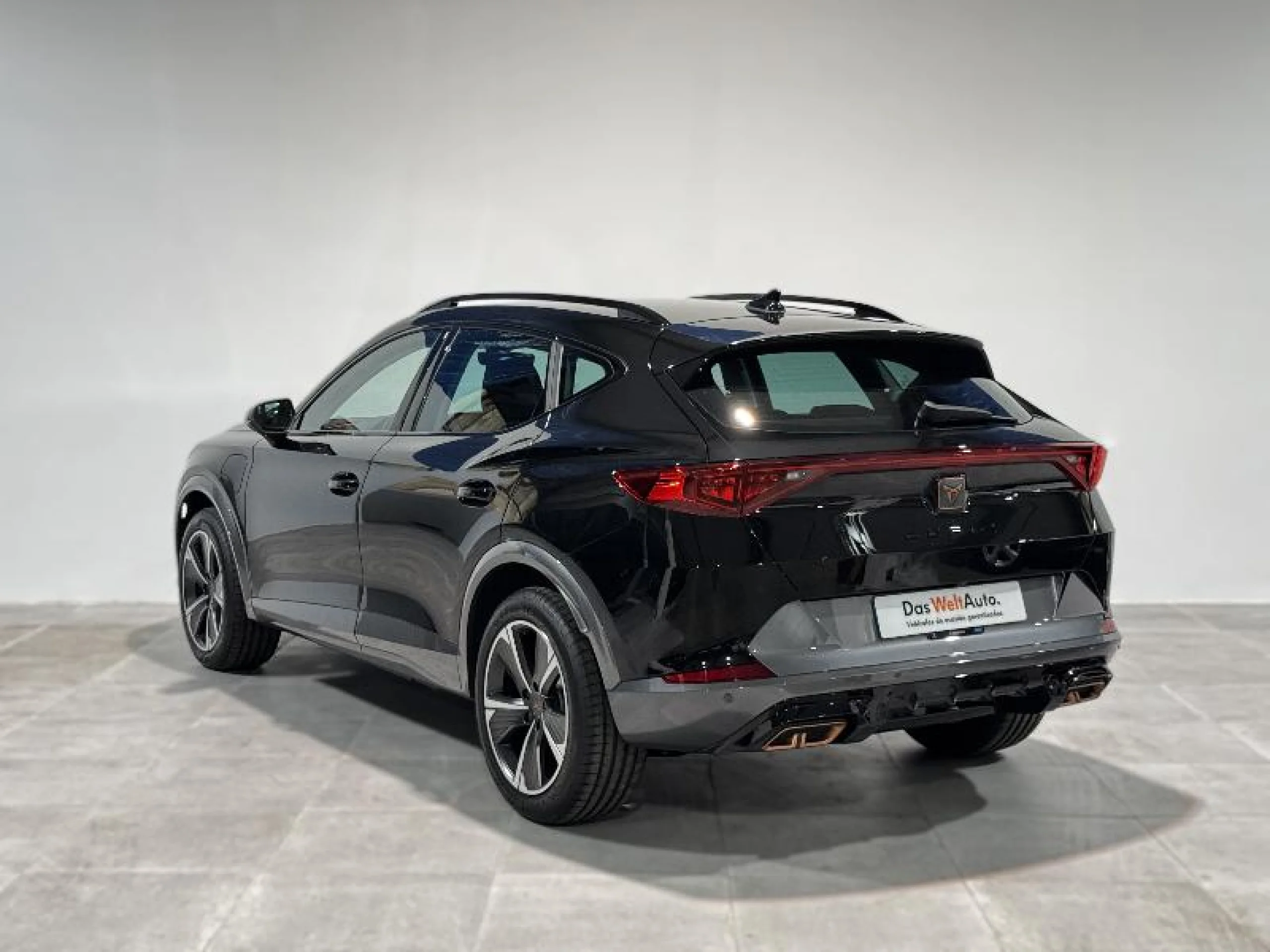 CUPRA FORMENTOR 1.4 E HYBRID 150KW (204 CV) DSG - Foto 2