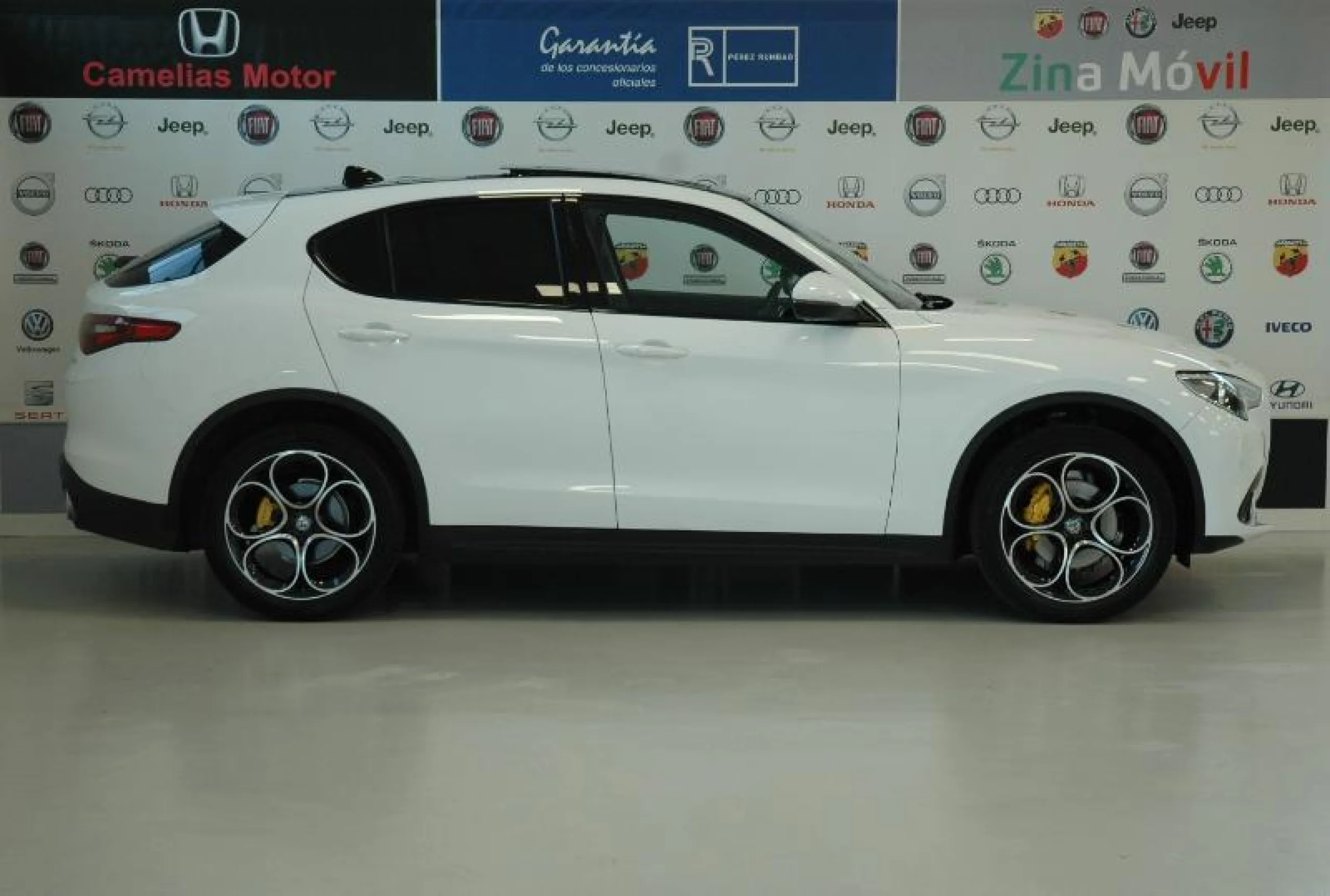 ALFA ROMEO STELVIO 2.2 DIÉSEL 154KW (210CV) EXECUTIVE Q4 - Foto 3