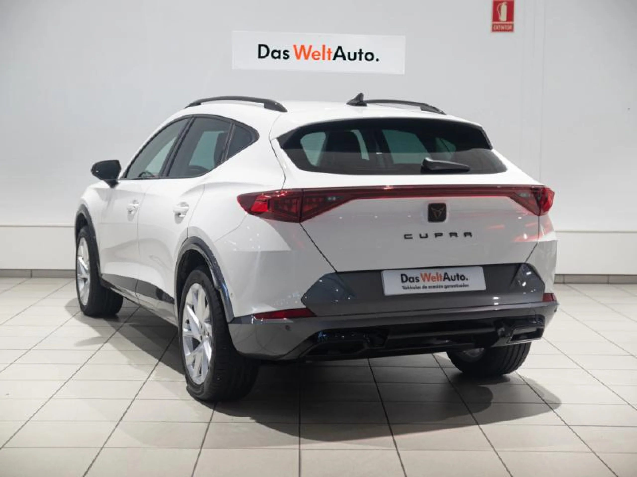 CUPRA FORMENTOR 1.5 TSI 110KW (150 CV) DSG - Foto 2