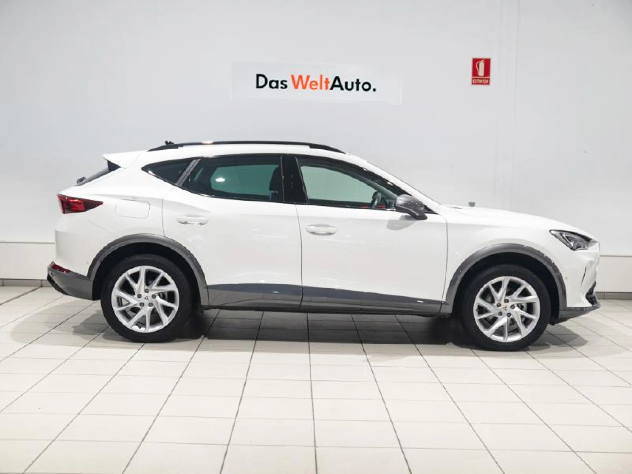 CUPRA FORMENTOR 1.5 TSI 110KW (150 CV) DSG - Foto 3