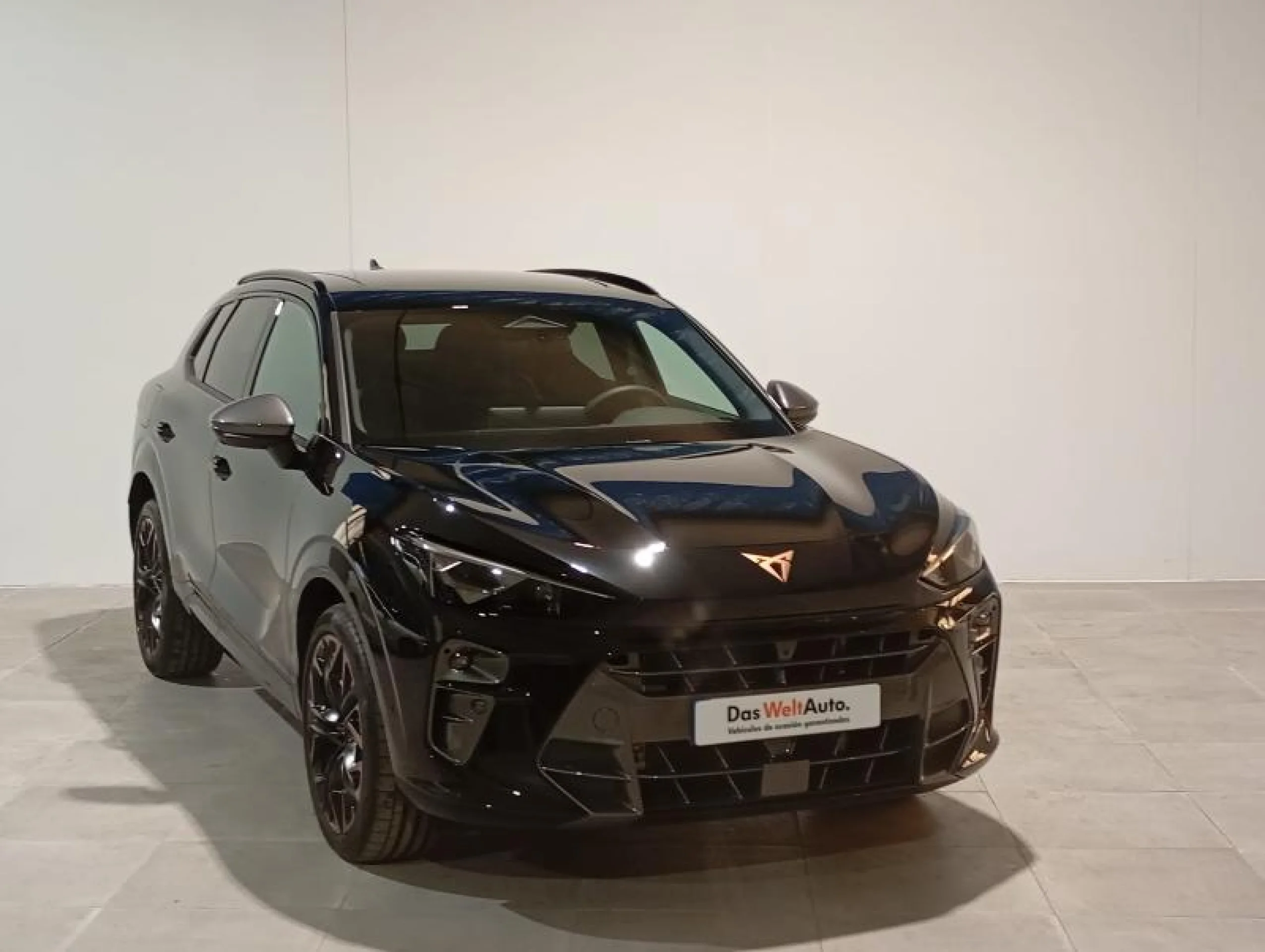 CUPRA TERRAMAR 1.5 TSI E HYBRID 200KW (272 CV) VZ DSG - Foto 1