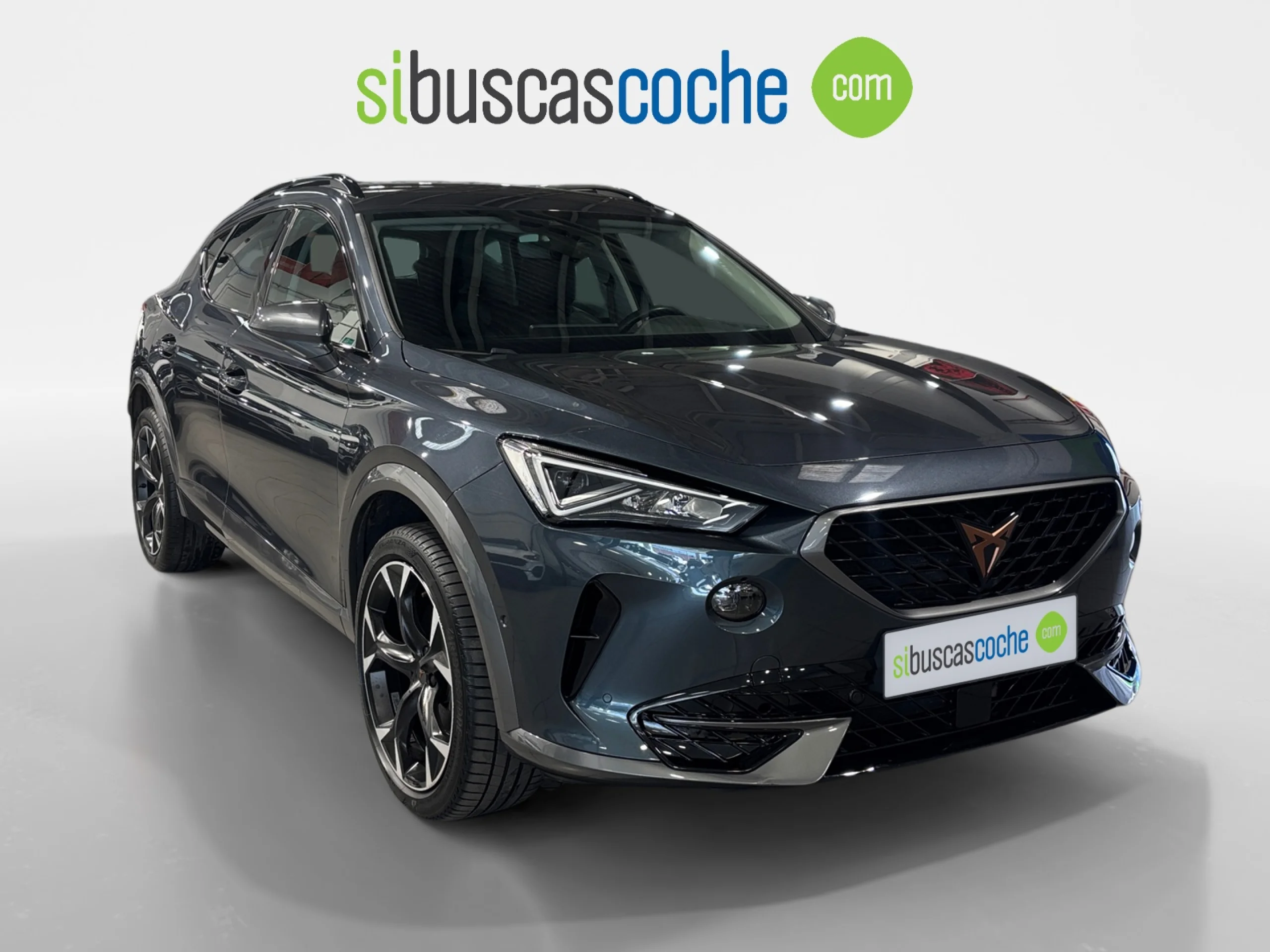 CUPRA FORMENTOR 1.5 TSI 110KW (150 CV) DSG - Foto 1