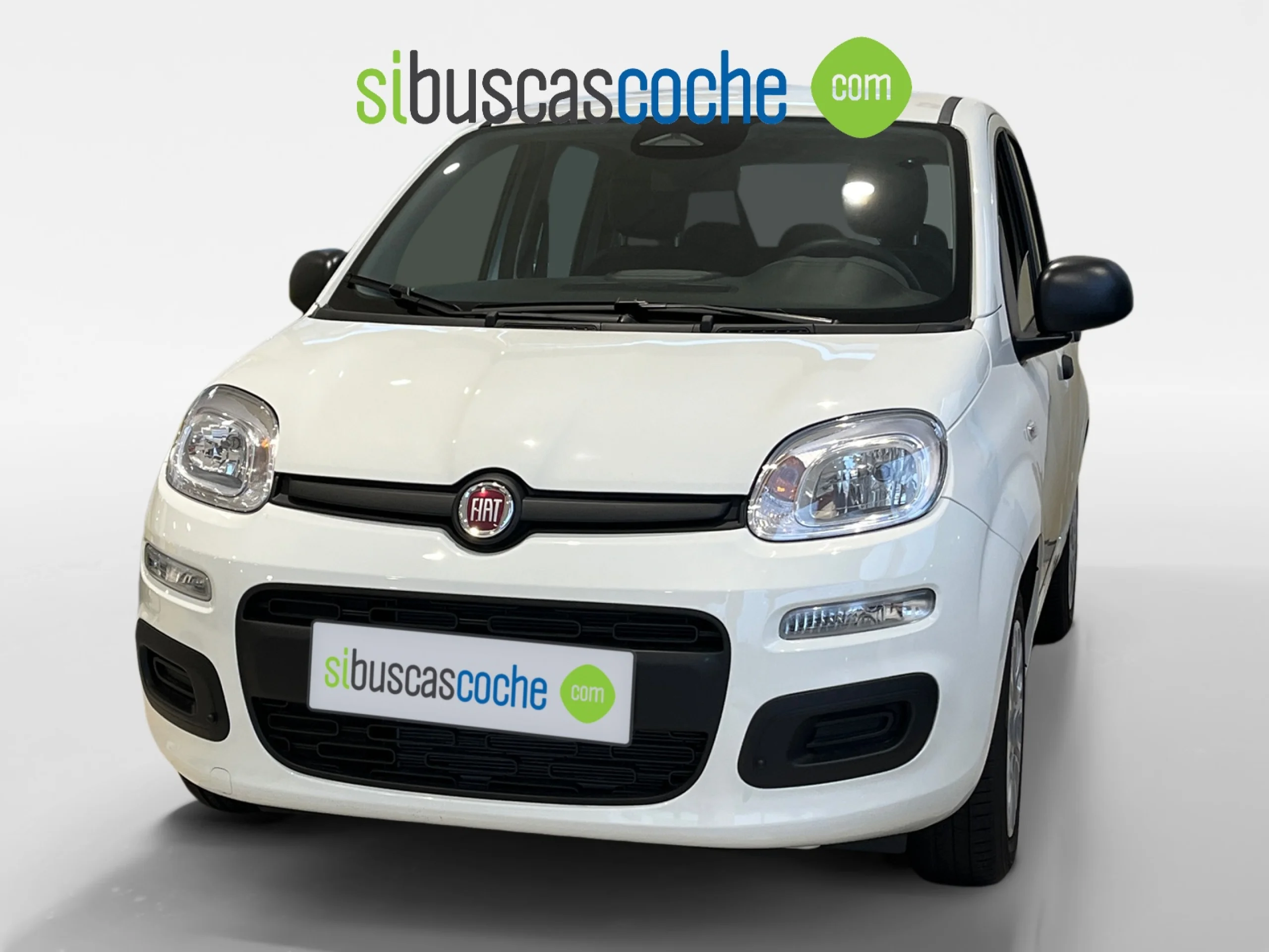 FIAT PANDA PANDA MY25 PANDA ICON - Foto 15