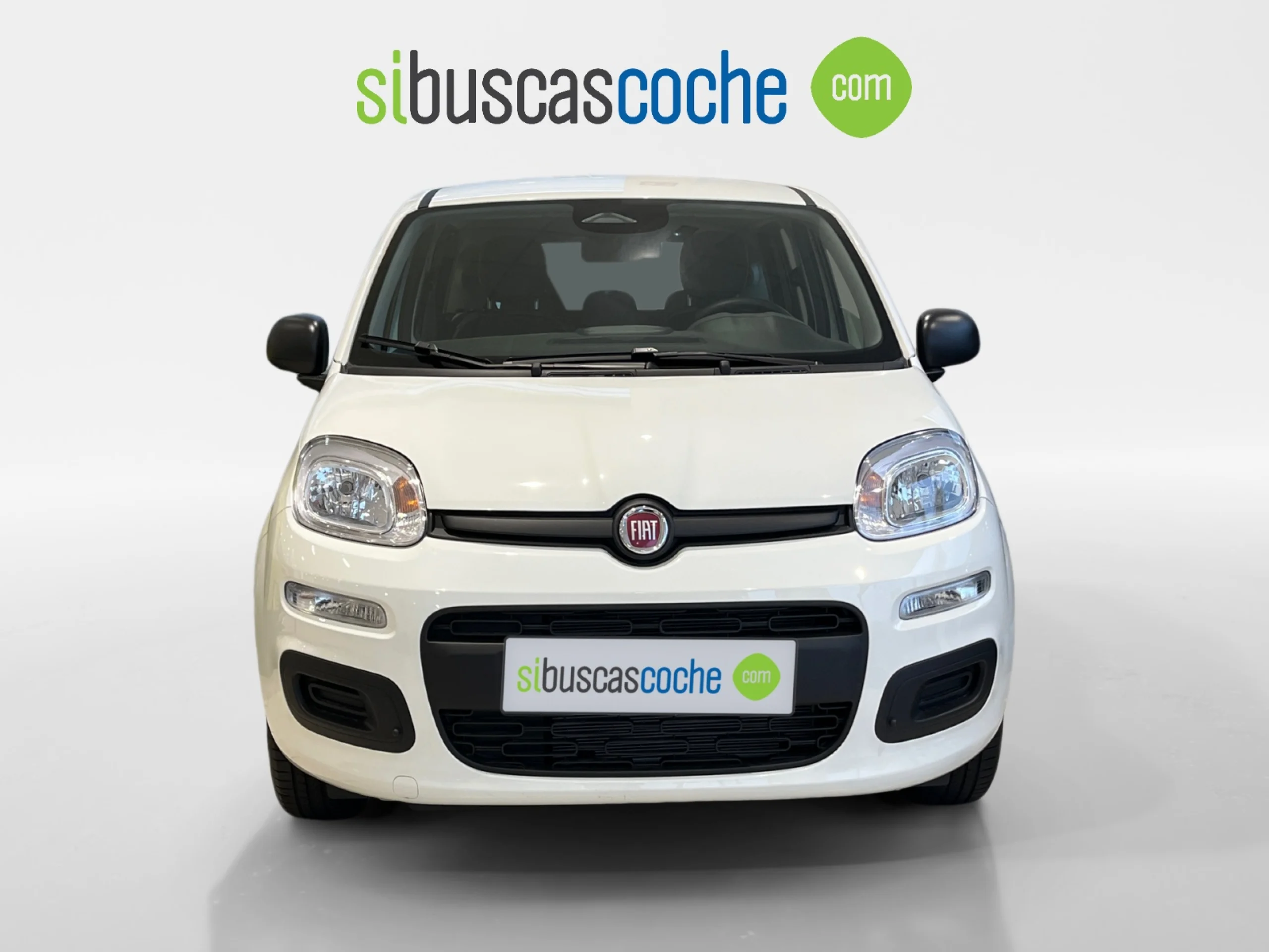 FIAT PANDA PANDA MY25 PANDA ICON - Foto 16