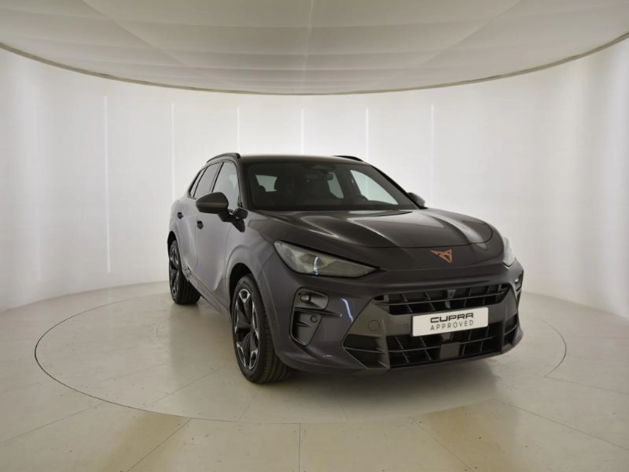 CUPRA TERRAMAR 1.5 ETSI 110KW (150 CV) DSG - Foto 1