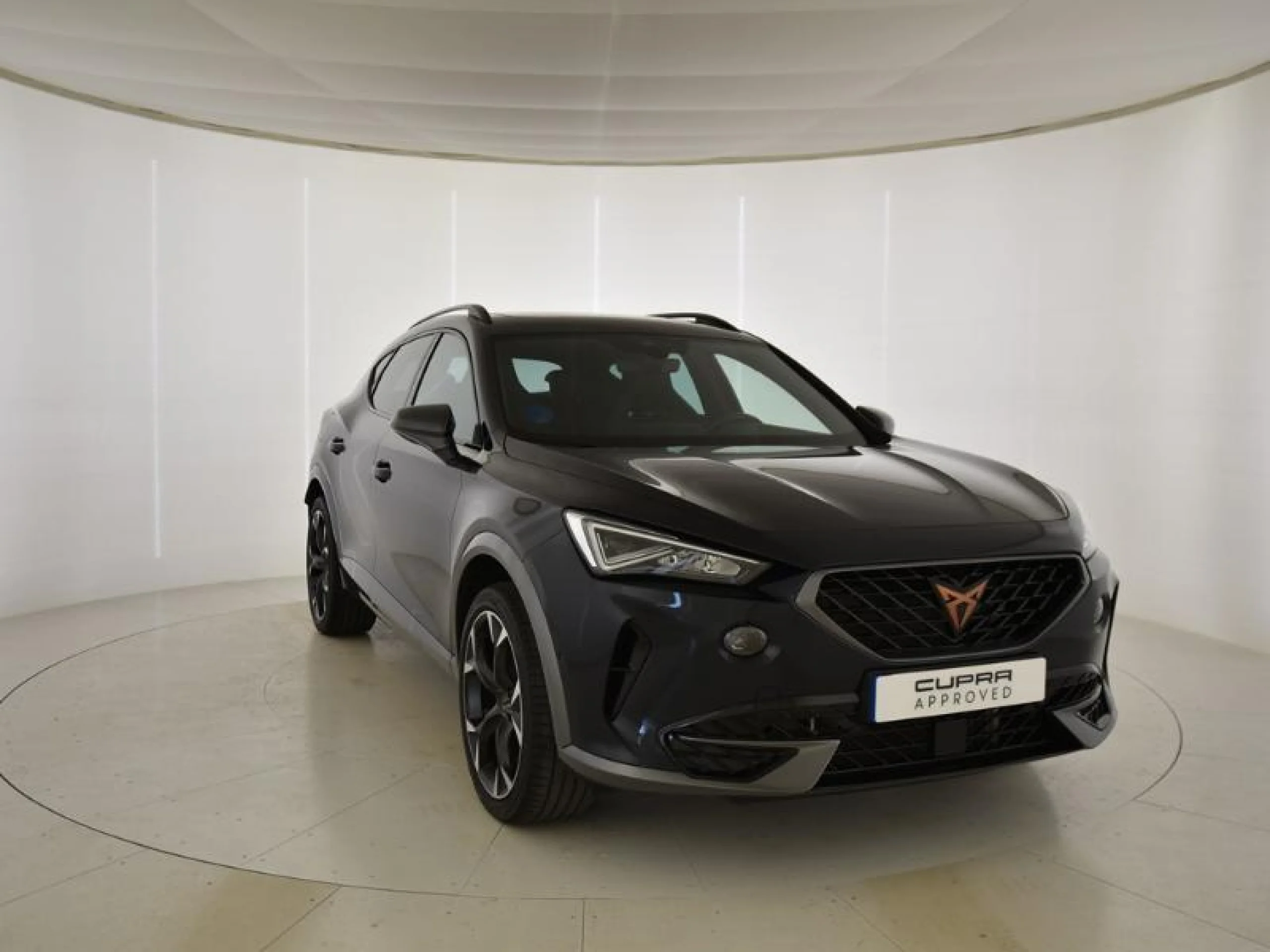 CUPRA FORMENTOR 1.4 E HYBRID 180KW (245 CV) VZ DSG - Foto 1