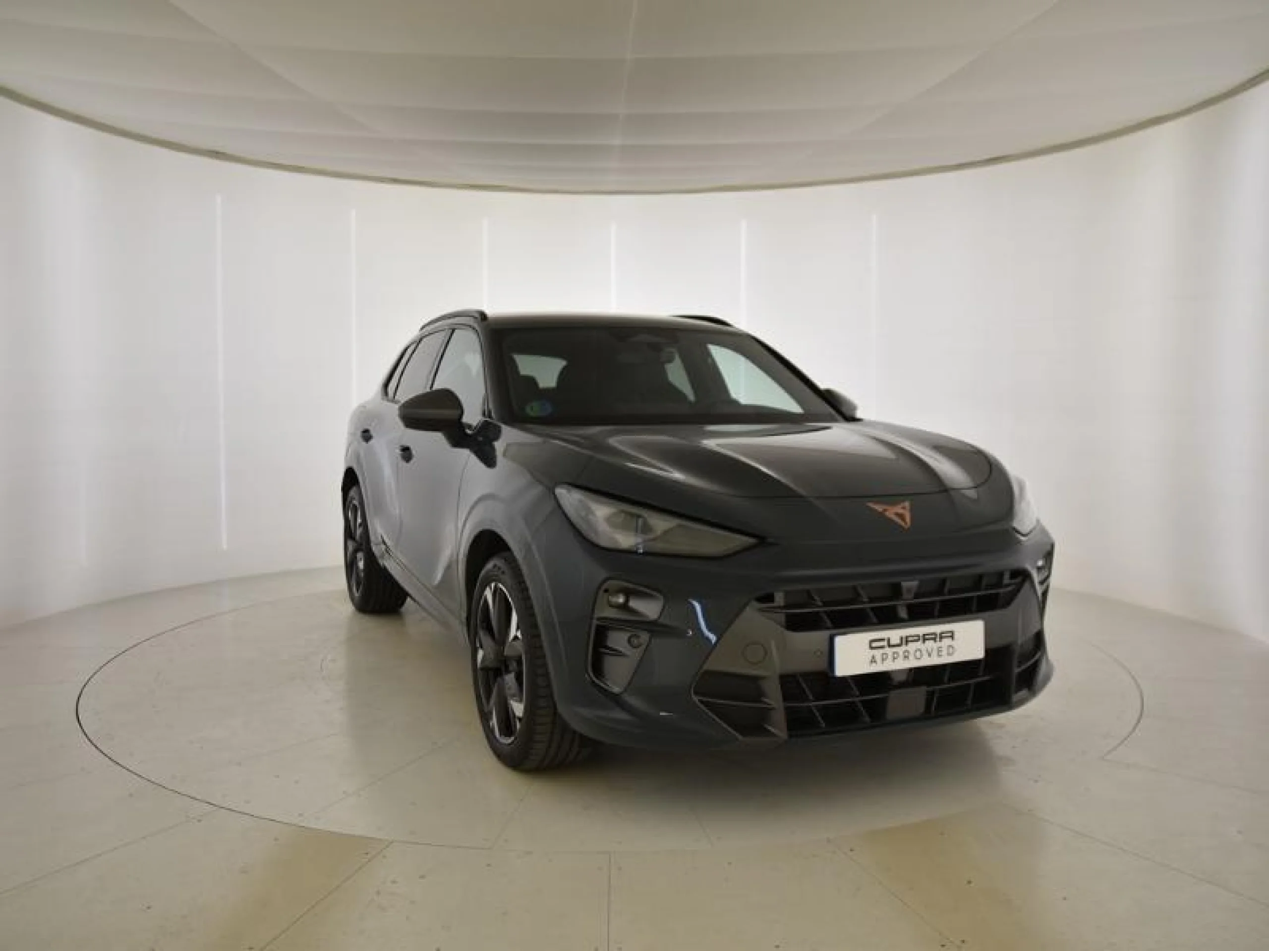 CUPRA TERRAMAR 1.5 ETSI 110KW (150 CV) DSG - Foto 1