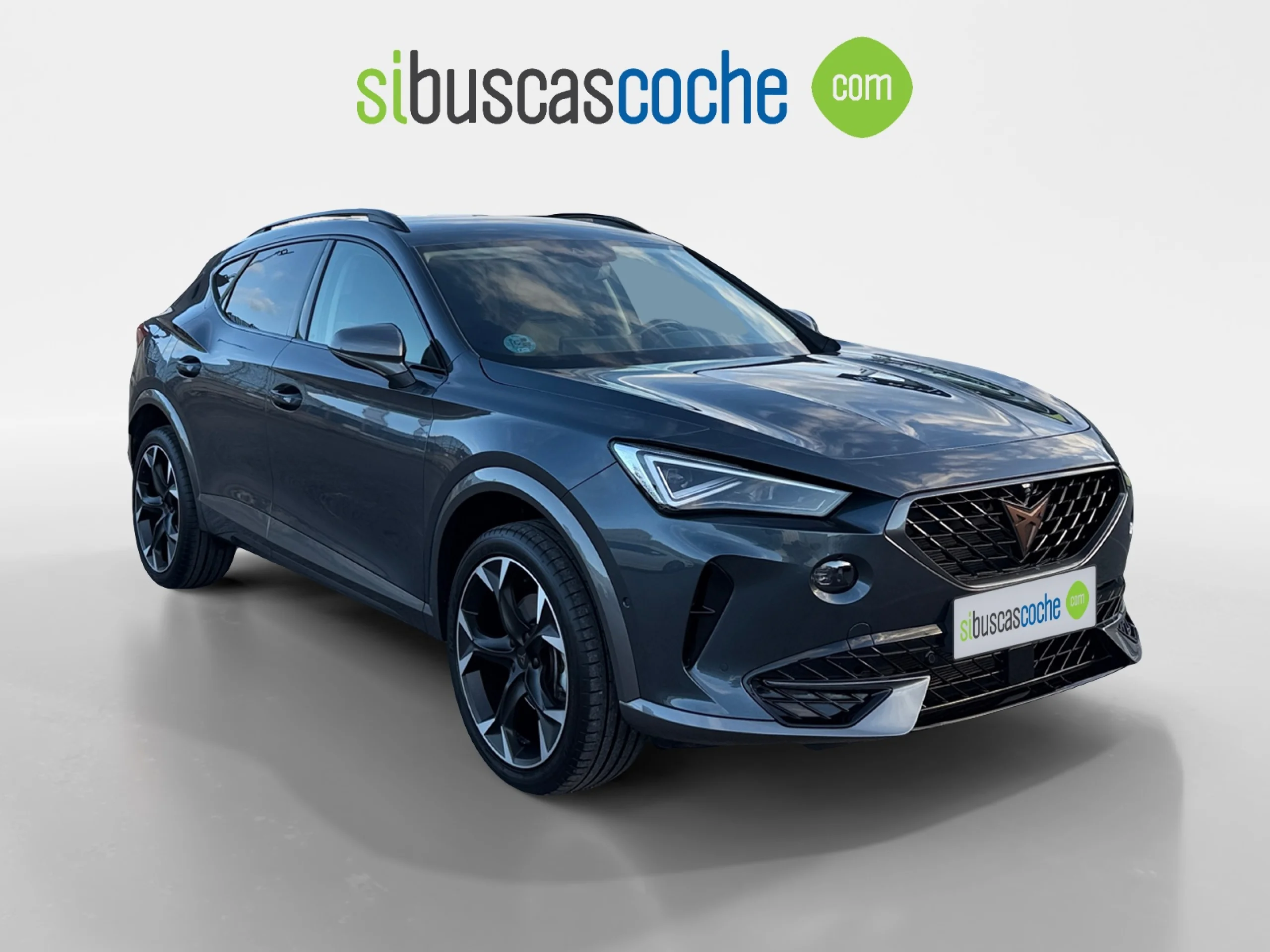 CUPRA FORMENTOR 1.5 TSI 110KW (150 CV) DSG - Foto 1