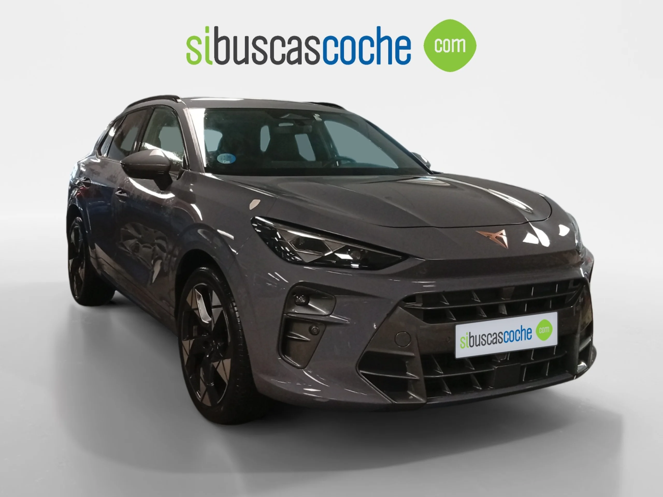 CUPRA TERRAMAR 1.5 ETSI 110KW (150 CV) DSG - Foto 1