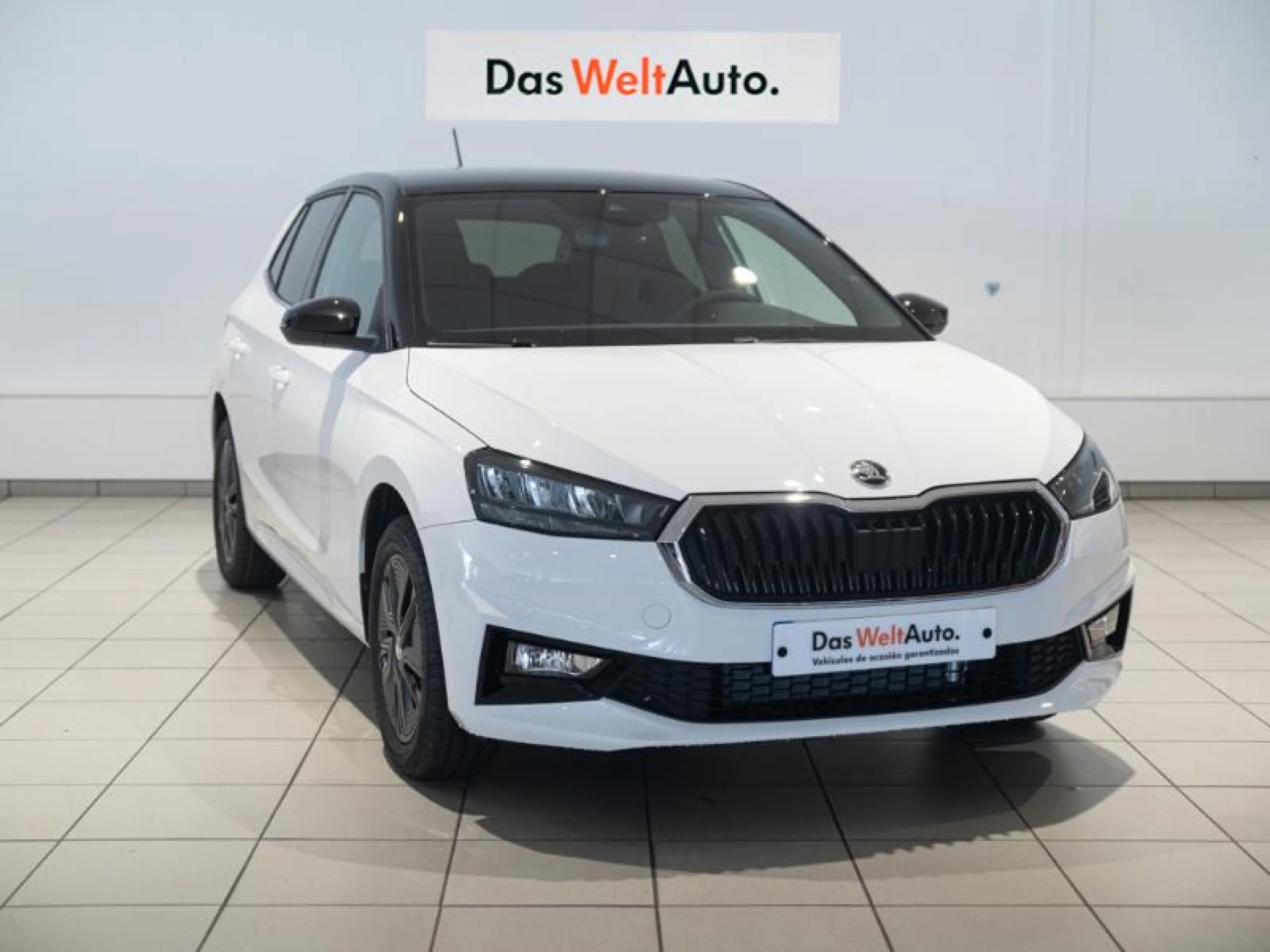 SKODA FABIA 1.0 TSI 70KW (95CV) DESIGN - Foto 1