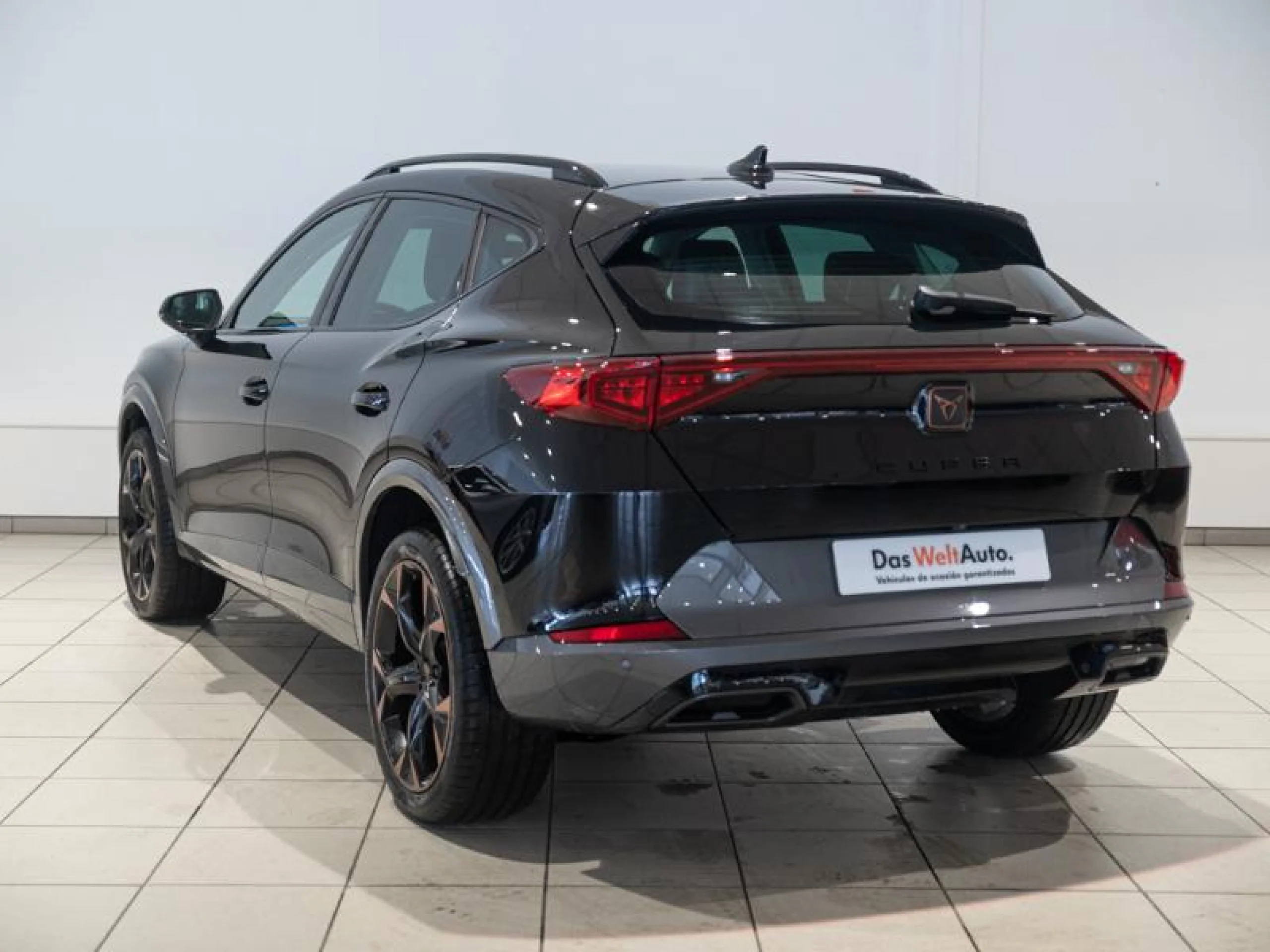 CUPRA FORMENTOR 2.0 TDI 110KW (150 CV) - Foto 2
