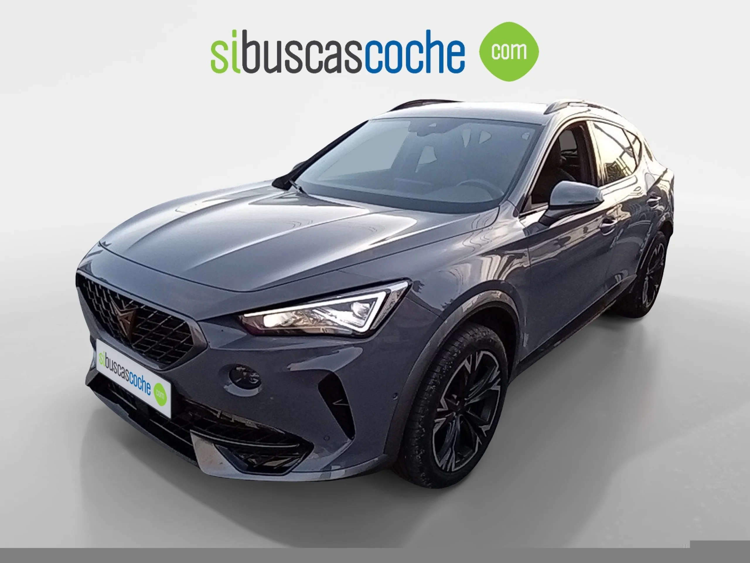 CUPRA FORMENTOR 1.5 TSI 110KW (150 CV) DSG - Foto 1