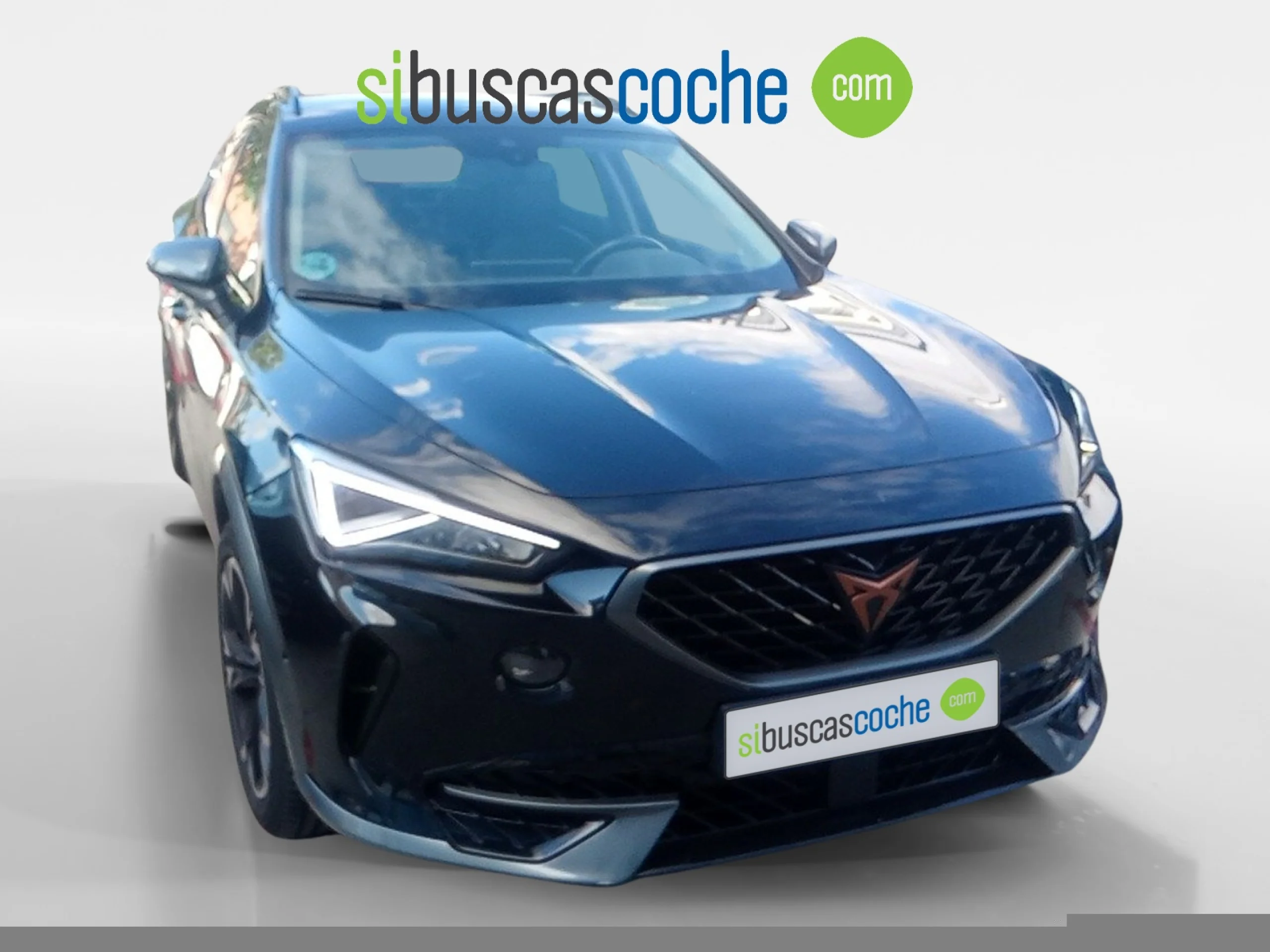 CUPRA FORMENTOR 2.0 TDI 110KW (150 CV) 4DRIVE DSG - Foto 2