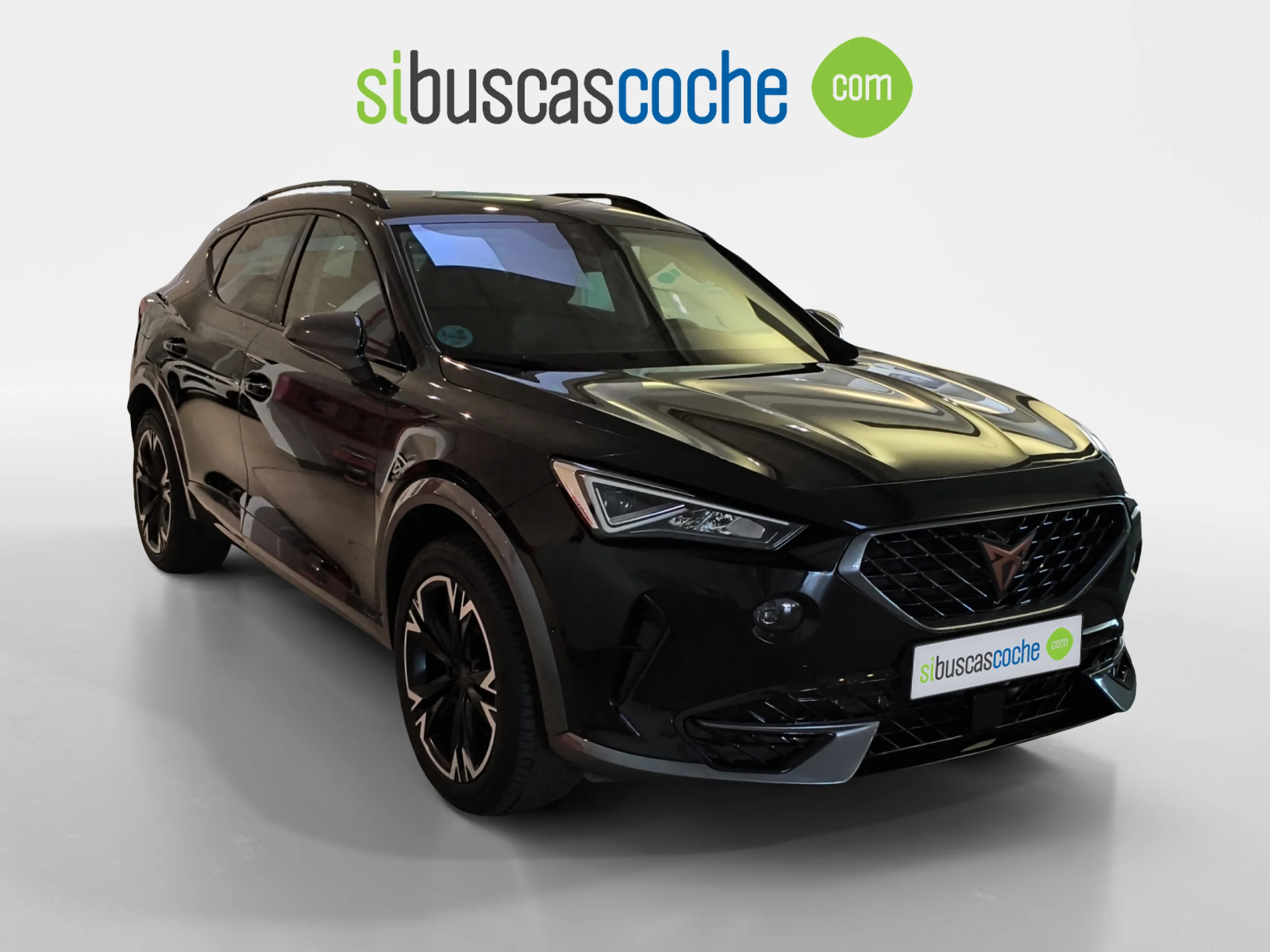 CUPRA FORMENTOR 2.0 TDI 110KW (150 CV) 4DRIVE DSG - Foto 1