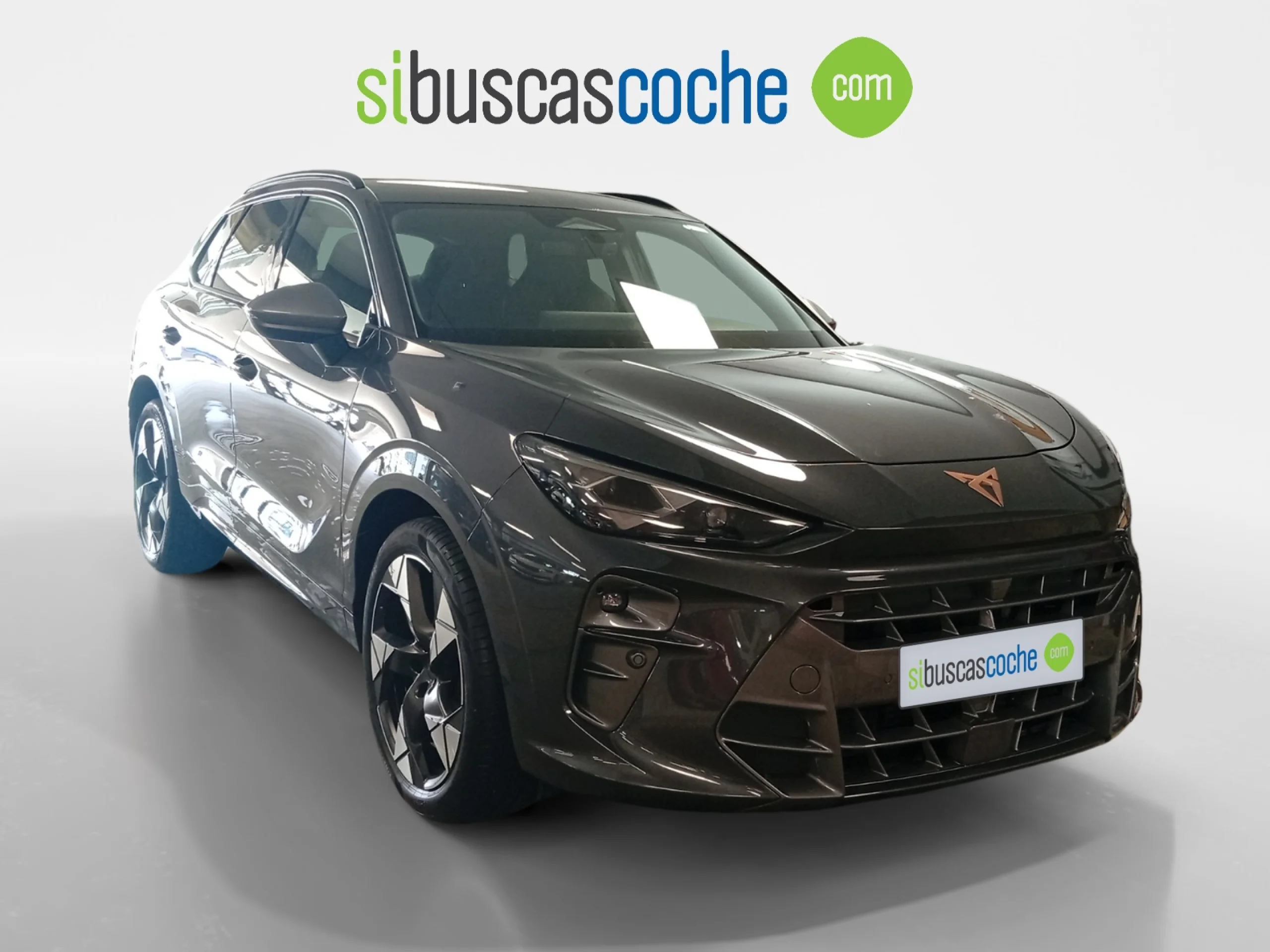 CUPRA TERRAMAR 1.5 ETSI 110KW (150 CV) DSG - Foto 1